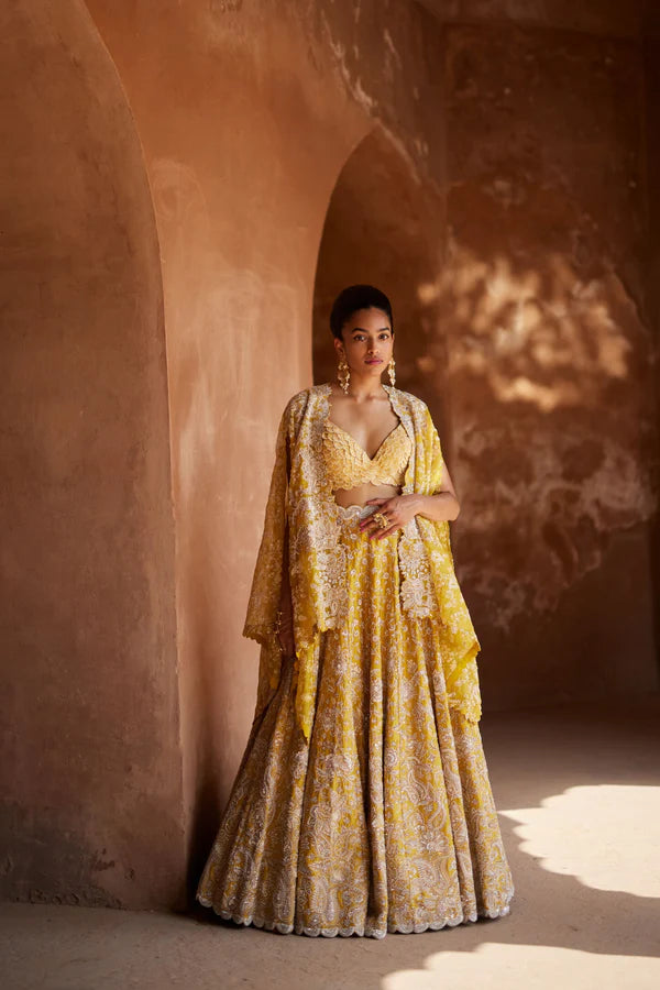 Paramita Lehenga Set