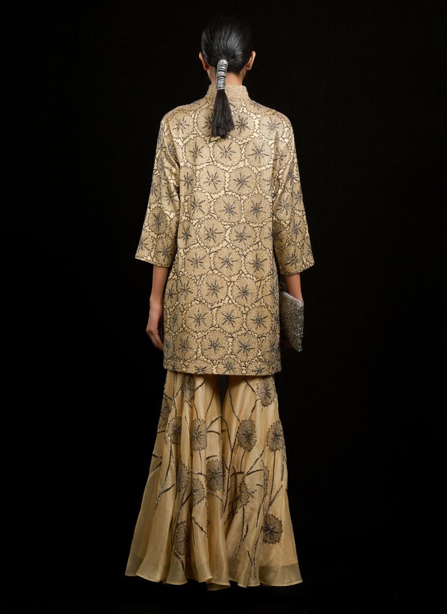 Topaz SLV Silk Organza Sharara