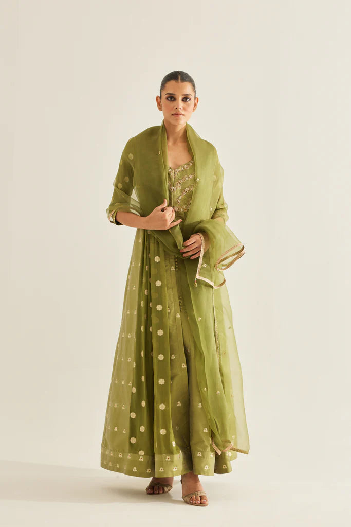 Olive Green Anarkali Set – Deval The Multi Designer Store