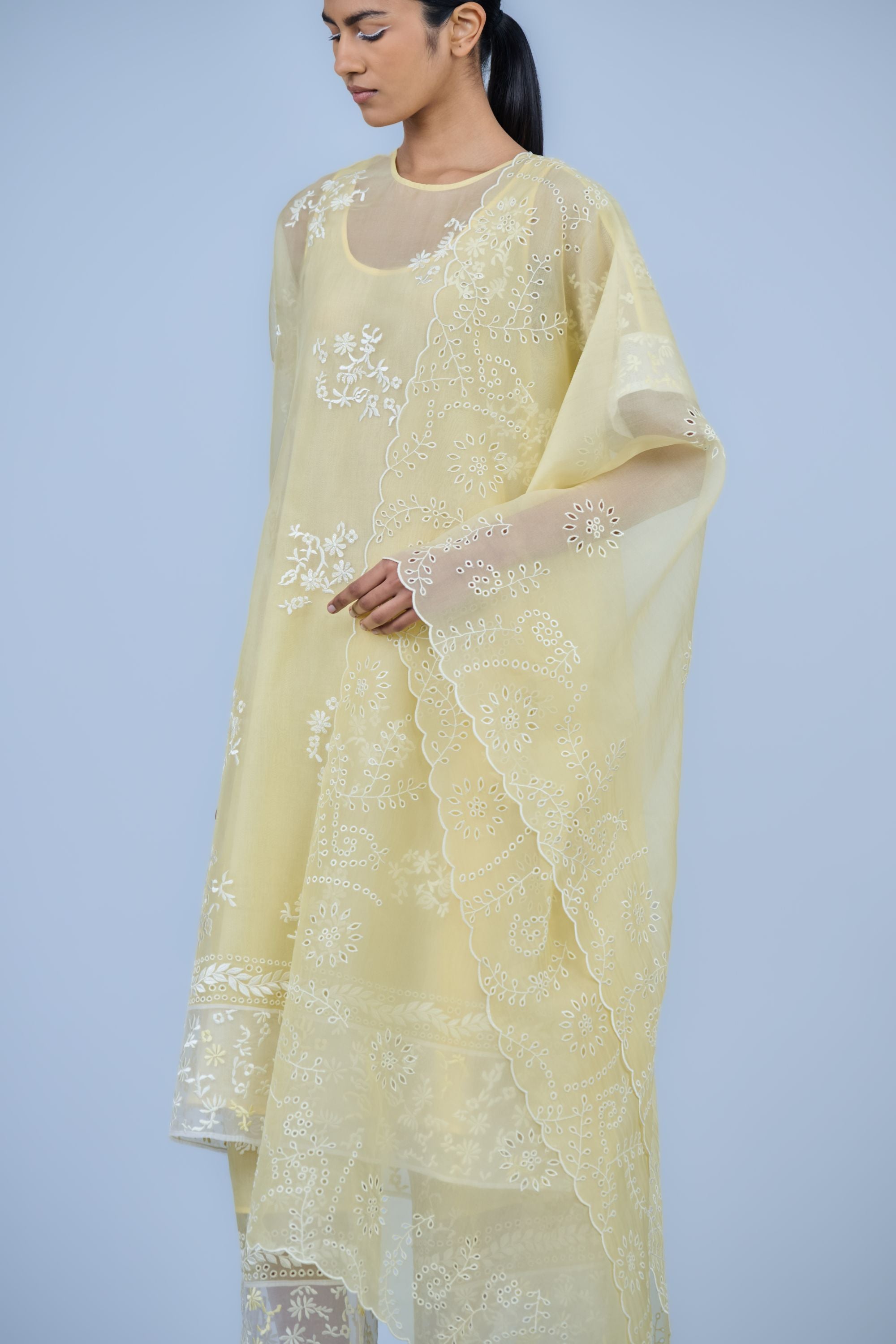 Sun Ec Silk Organza Kurta