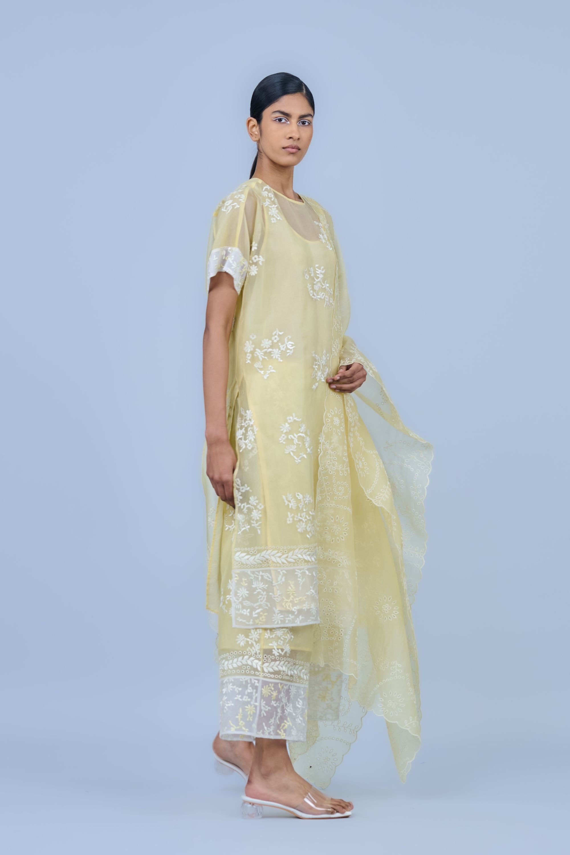 Sun Ec Silk Organza Kurta