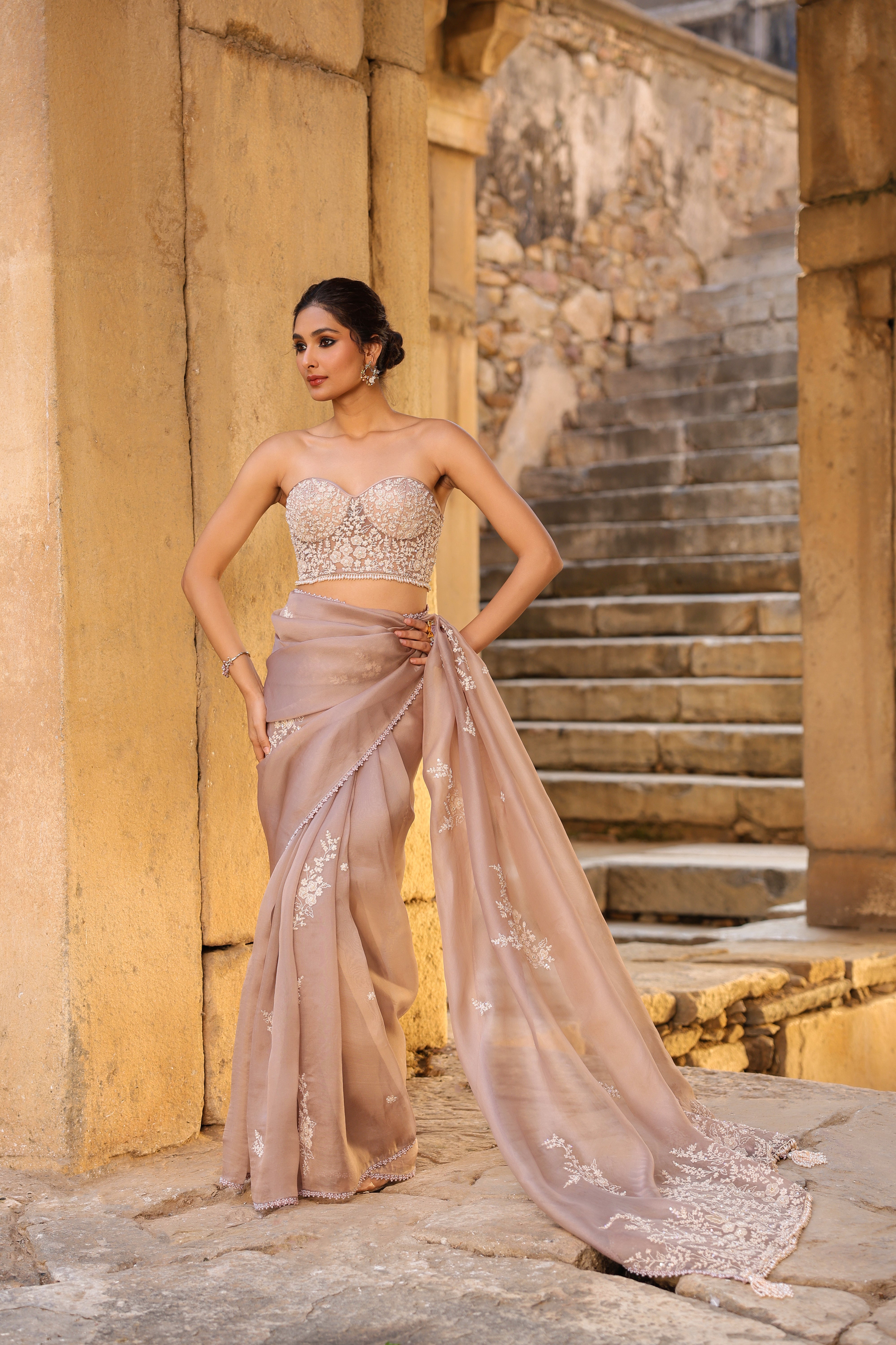 Vaayu Taupe Applique Corset Saree Set