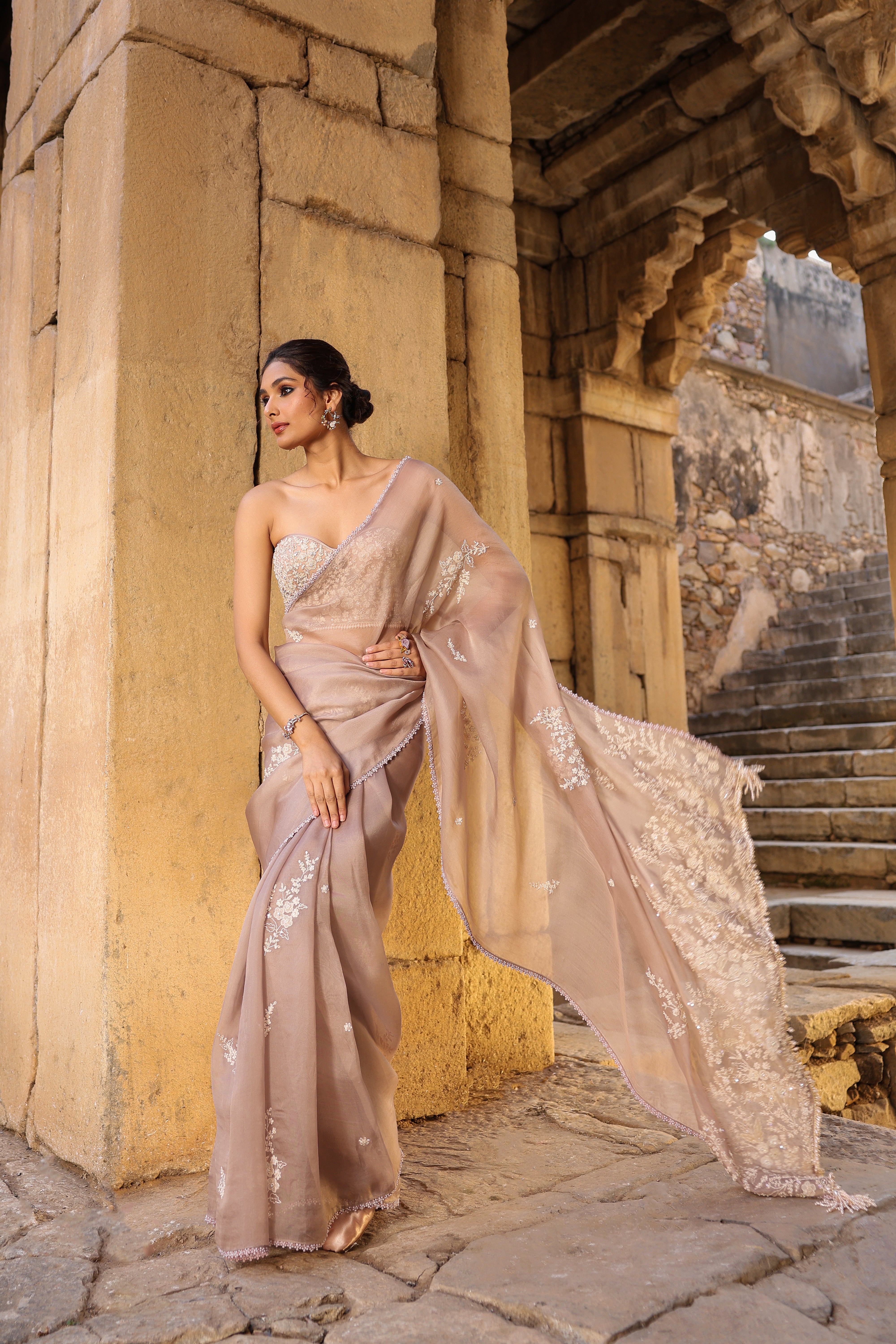 Vaayu Taupe Applique Corset Saree Set