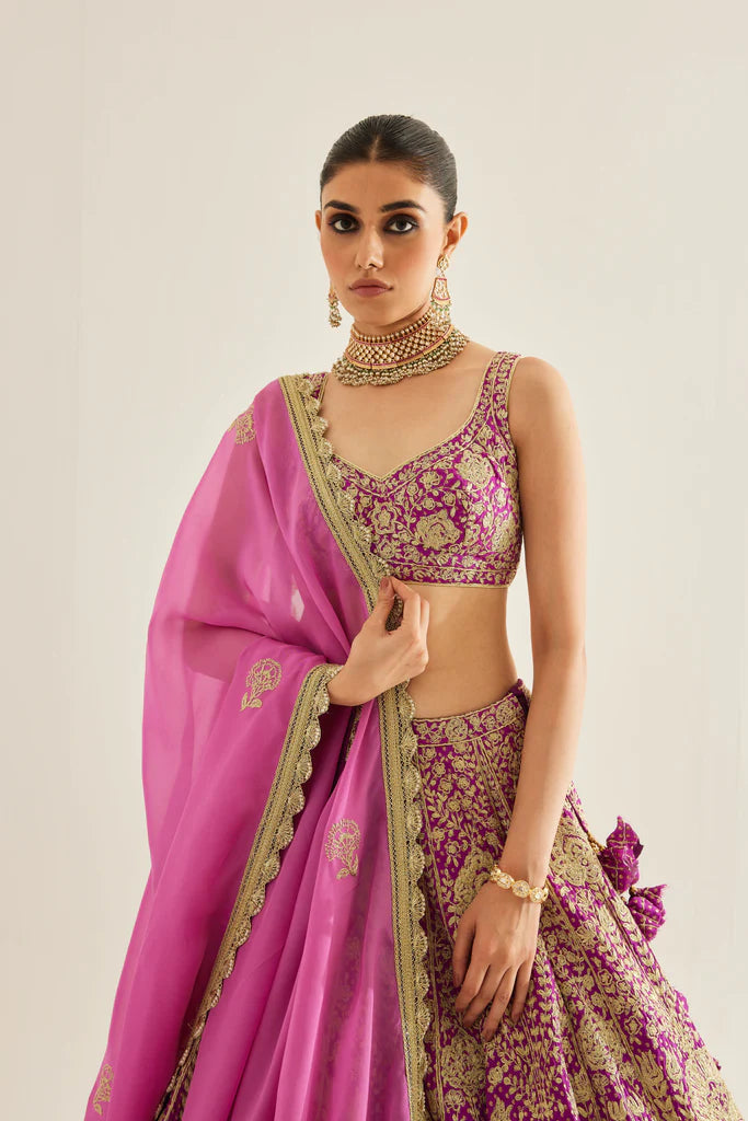Grape Wine Lehenga Set Deval Store