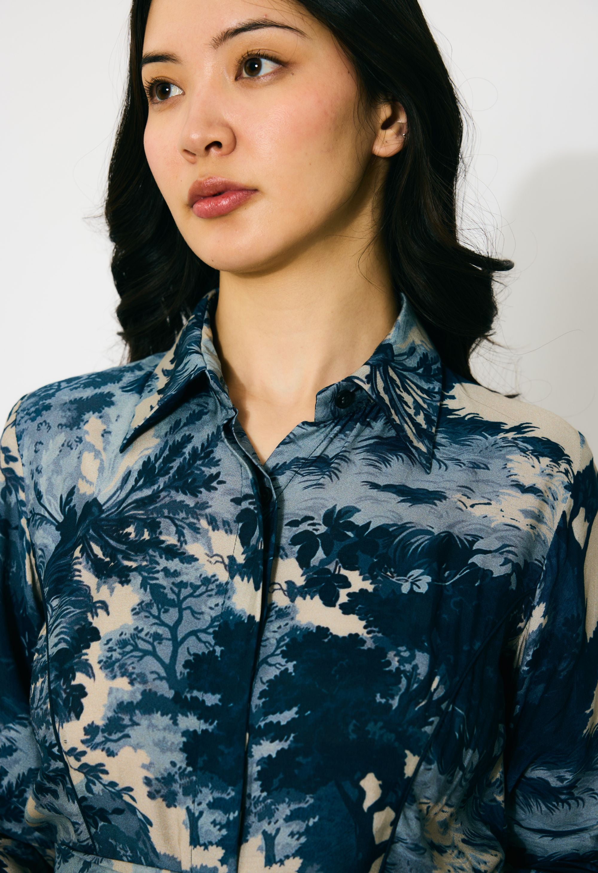 BLUE, INDIGO AND BEIGE TOILE PRINT SHIRT DRESS