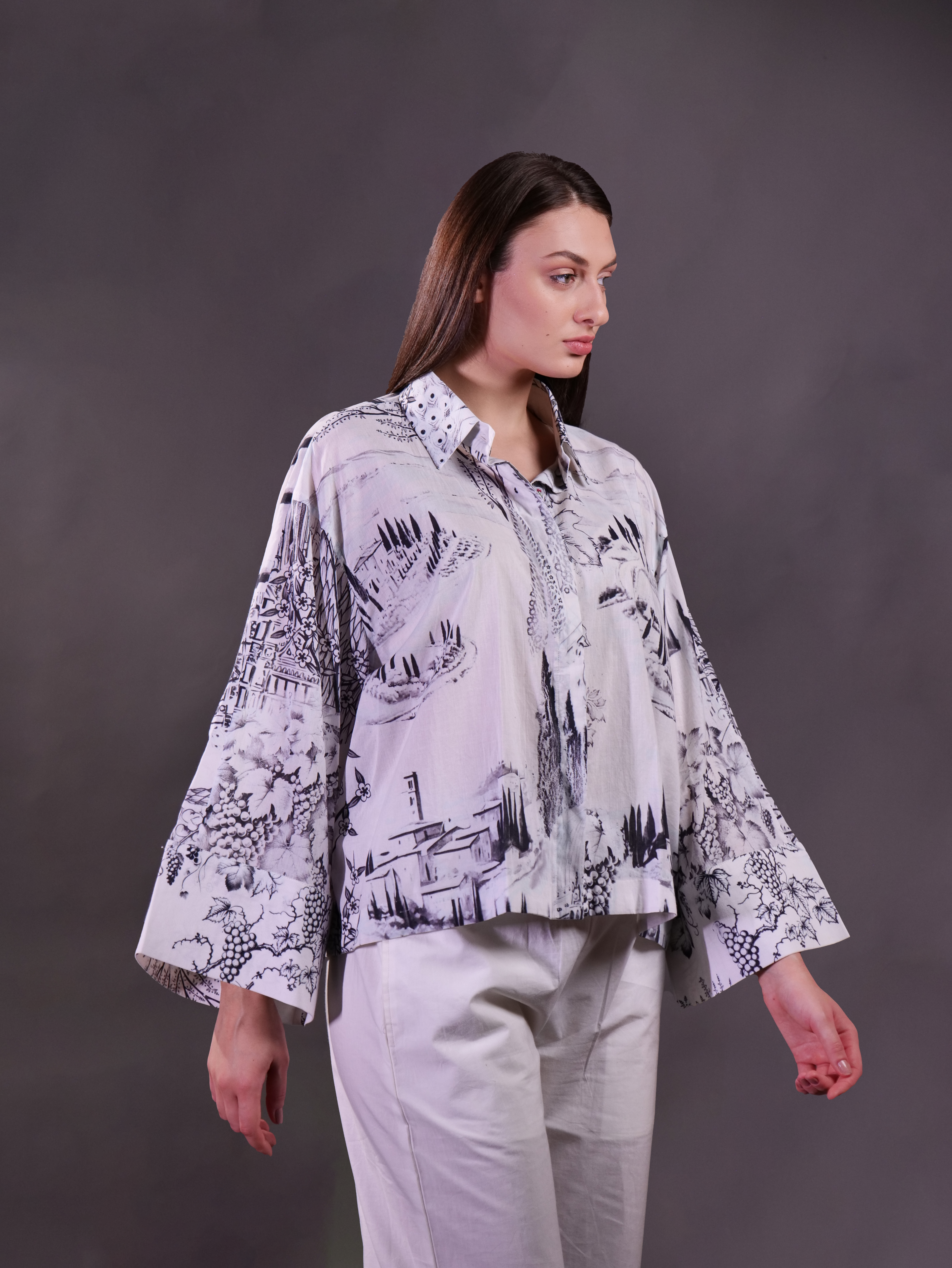 Printed Shirt with Hand Embroidered Highlight with Trousers