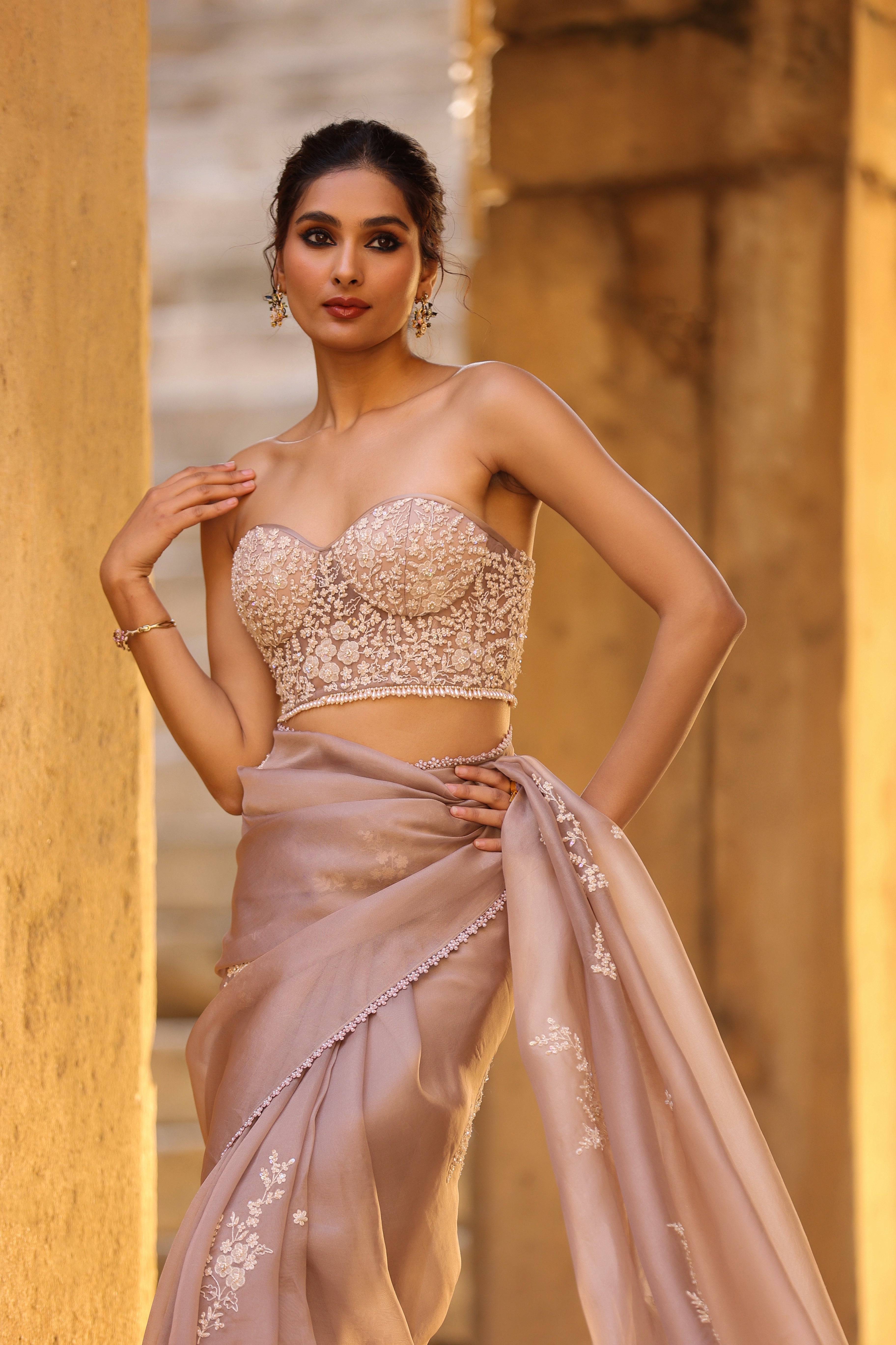 Vaayu Taupe Applique Corset Saree Set