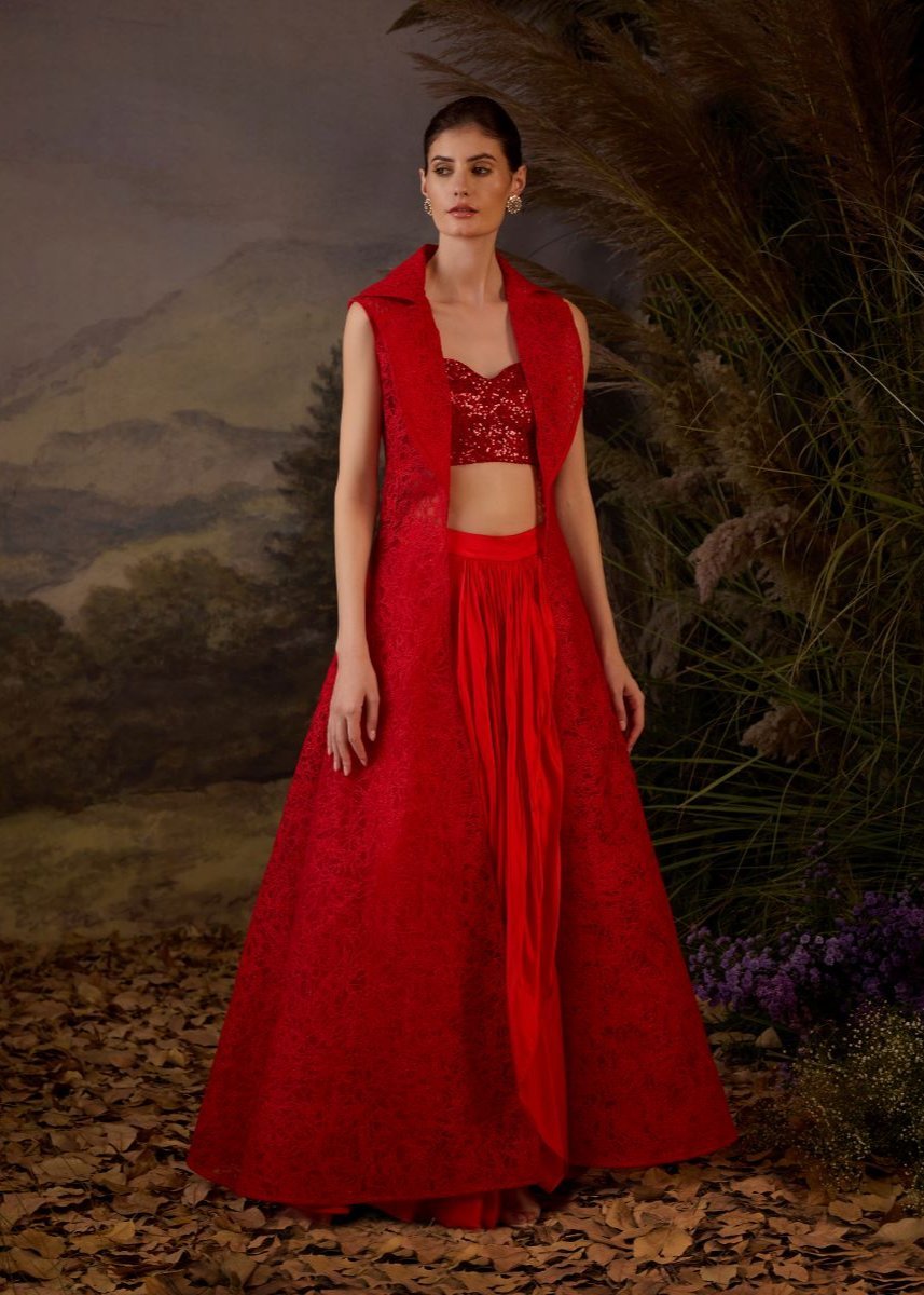 https://cdn.shopify.com/s/files/1/0088/3441/6706/files/a-red-net-texture-embroidery-jacket-and-inside-tube-top-with-dhoti-2846688.jpg?v=1762586294