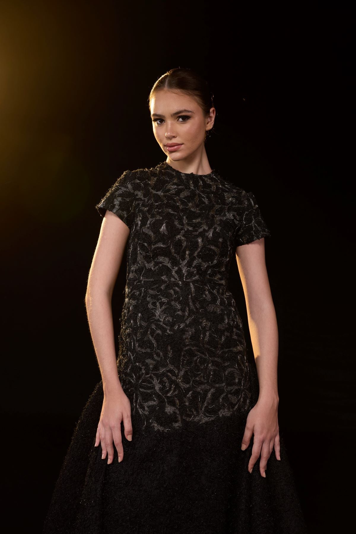 https://cdn.shopify.com/s/files/1/0088/3441/6706/files/elegant-black-gown-featuring-intricate-tonal-embroidery-7052174.jpg?v=1752388530
