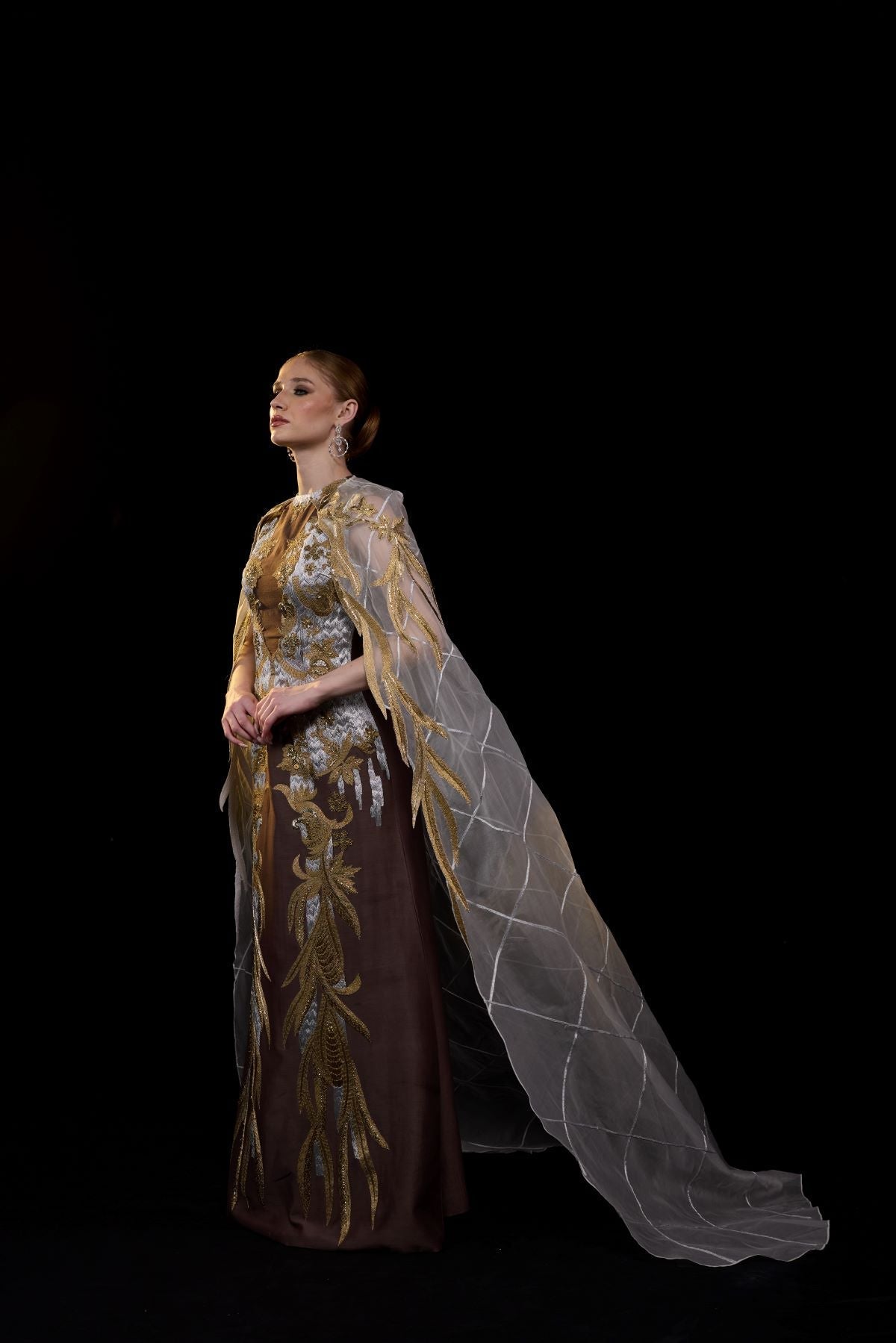 https://cdn.shopify.com/s/files/1/0088/3441/6706/files/embroidered-brown-gown-with-sheer-cape-1713980.jpg?v=1752388530