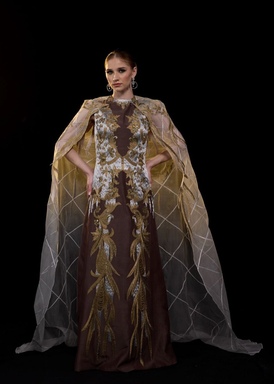 https://cdn.shopify.com/s/files/1/0088/3441/6706/files/embroidered-brown-gown-with-sheer-cape-2877943.jpg?v=1752388530