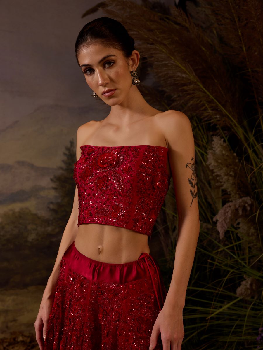 https://cdn.shopify.com/s/files/1/0088/3441/6706/files/featured-here-is-a-red-organza-cotton-silk-tube-top-skirt-8798428.jpg?v=1752388662