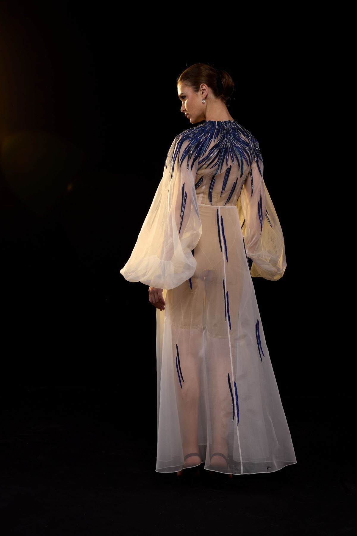 https://cdn.shopify.com/s/files/1/0088/3441/6706/files/ivory-sheer-gown-with-blue-beaded-flame-embroidery-2857495.jpg?v=1752388531