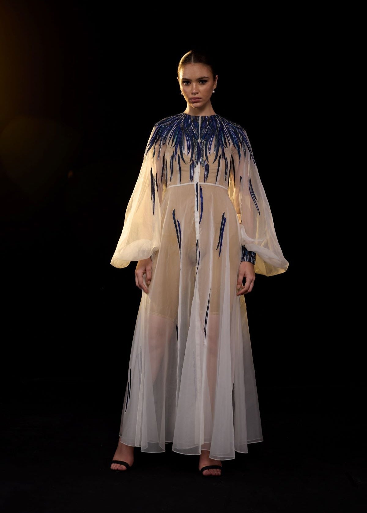 https://cdn.shopify.com/s/files/1/0088/3441/6706/files/ivory-sheer-gown-with-blue-beaded-flame-embroidery-3878182.jpg?v=1752388530