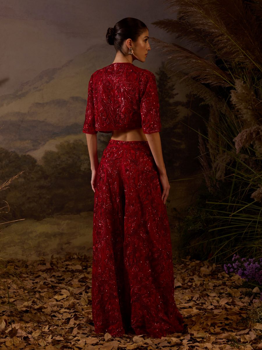 https://cdn.shopify.com/s/files/1/0088/3441/6706/files/red-organza-silk-tube-top-along-bolero-jacket-with-plazo-pants-5598072.jpg?v=1752388663