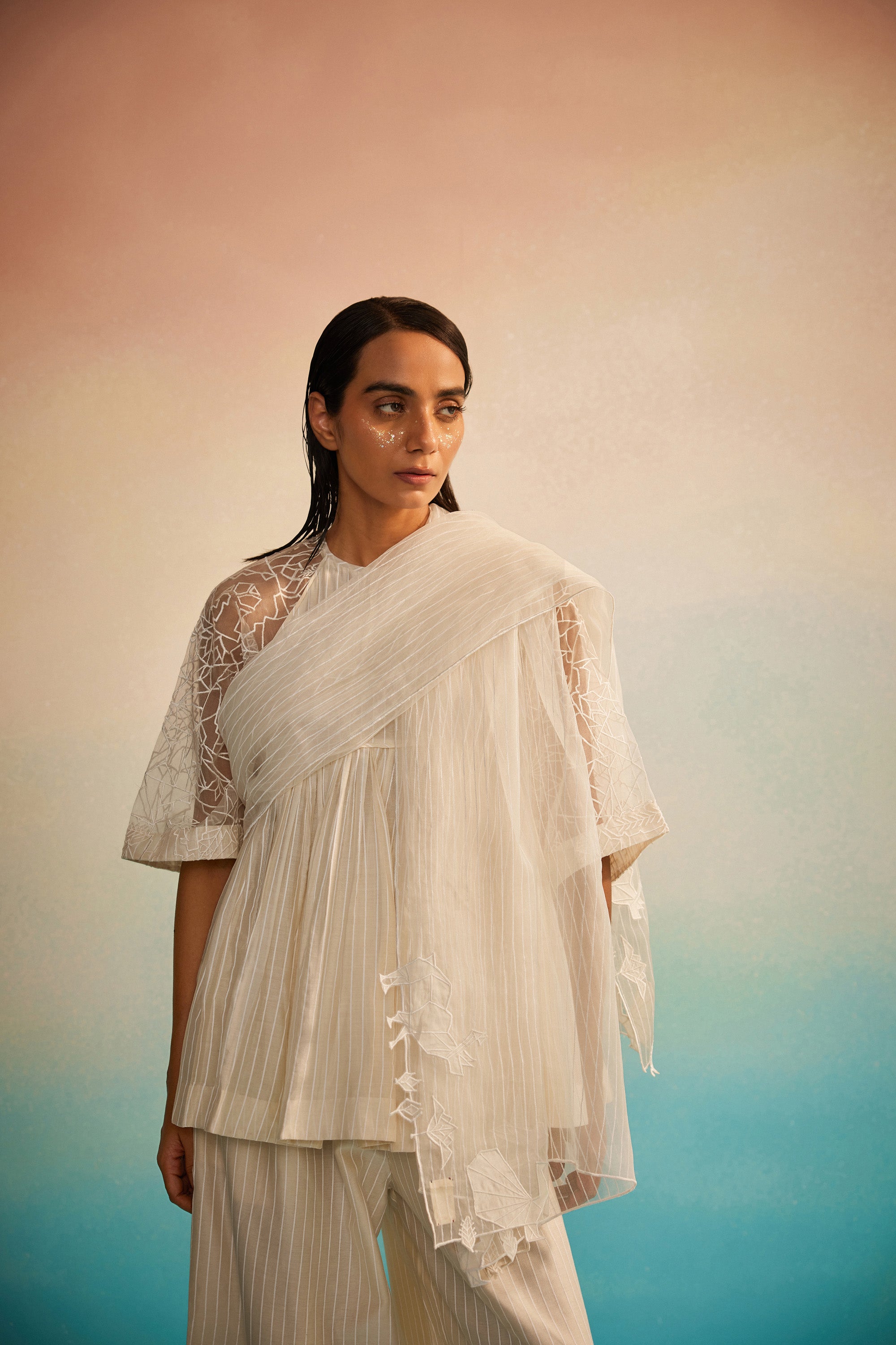 Kessho Organza appliqué Dupatta