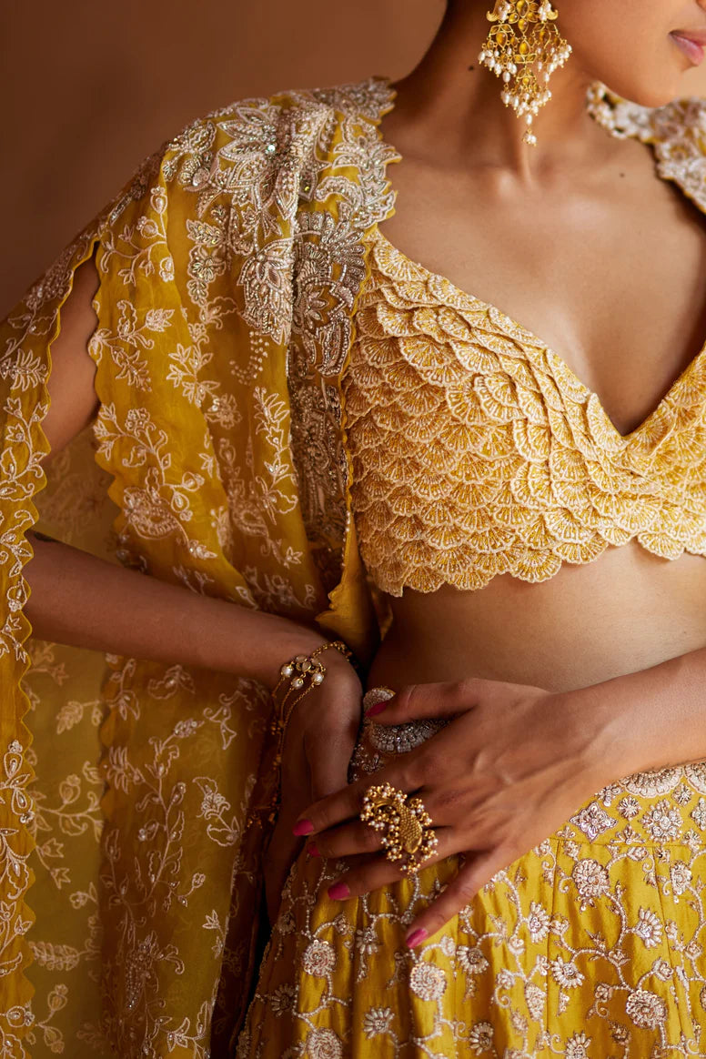 Paramita Lehenga Set