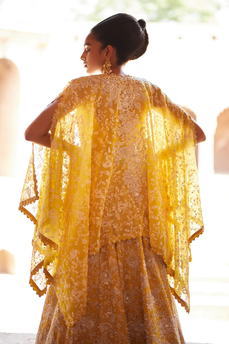 Paramita Lehenga Set