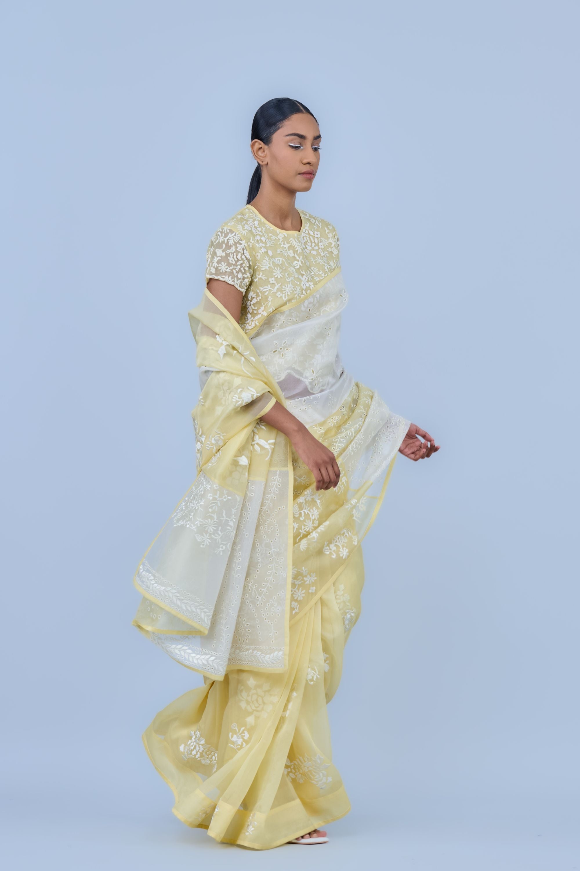 Sun Ec Silk Organza Sari