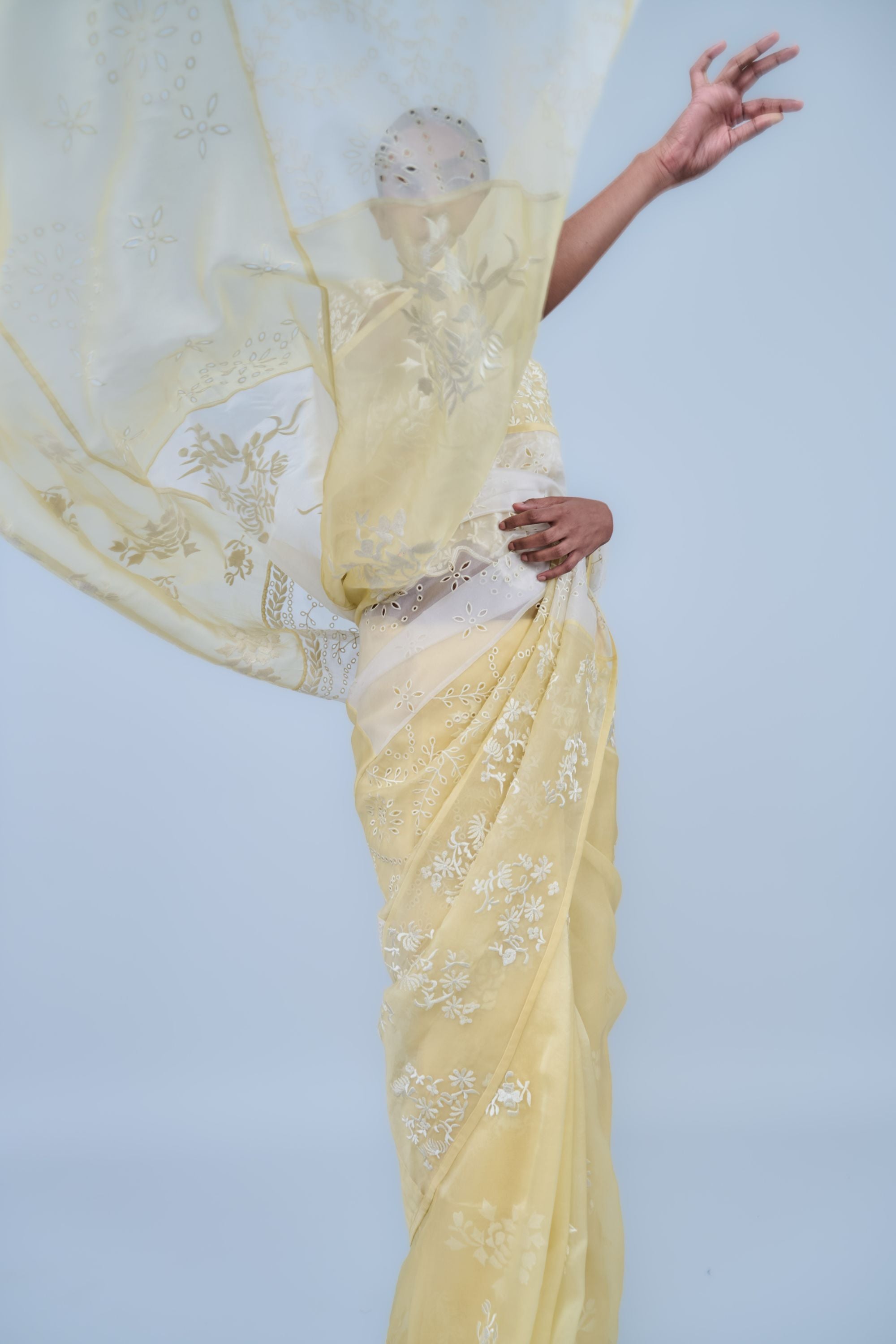 Sun Ec Silk Organza Sari