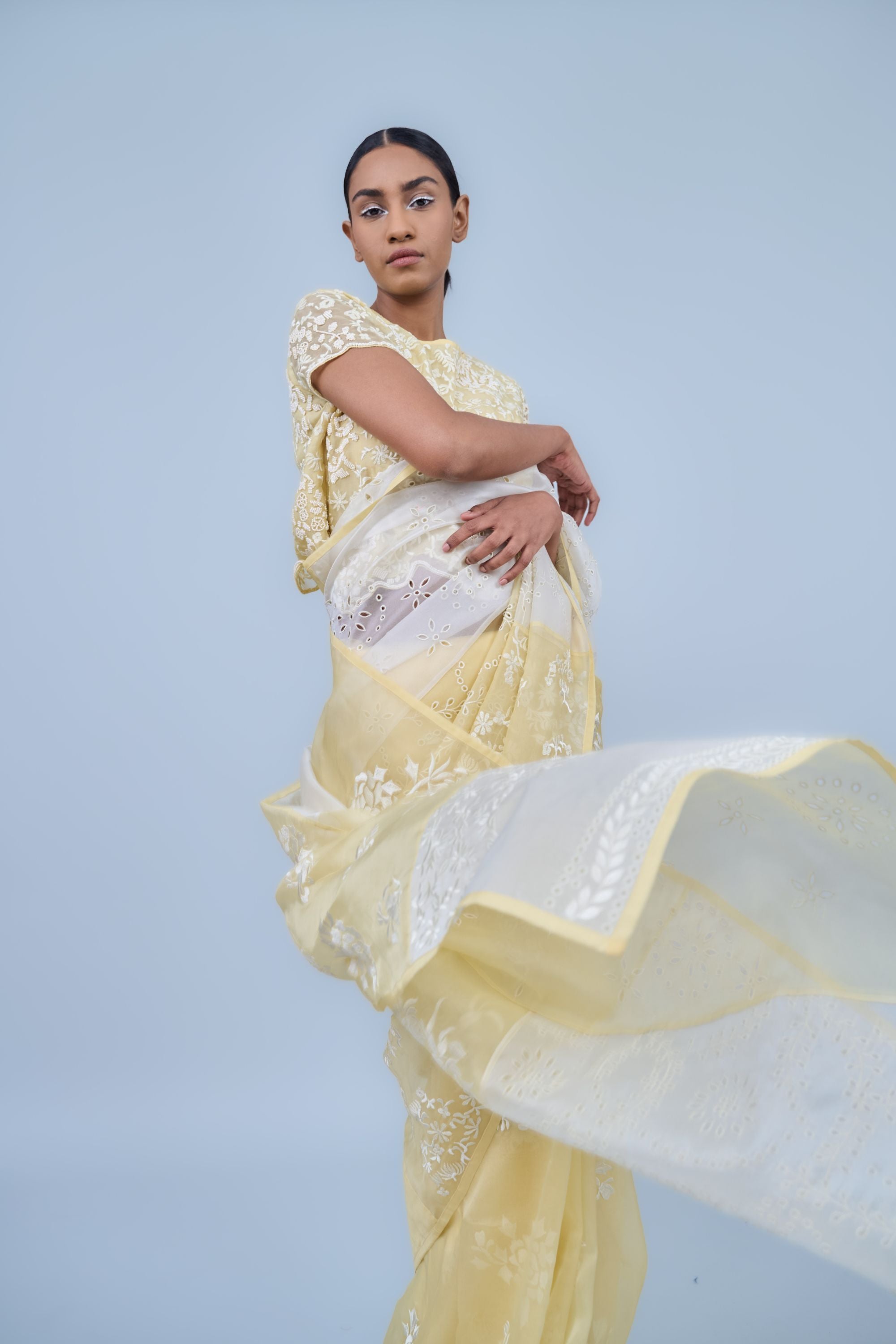 Sun Ec Silk Organza Sari