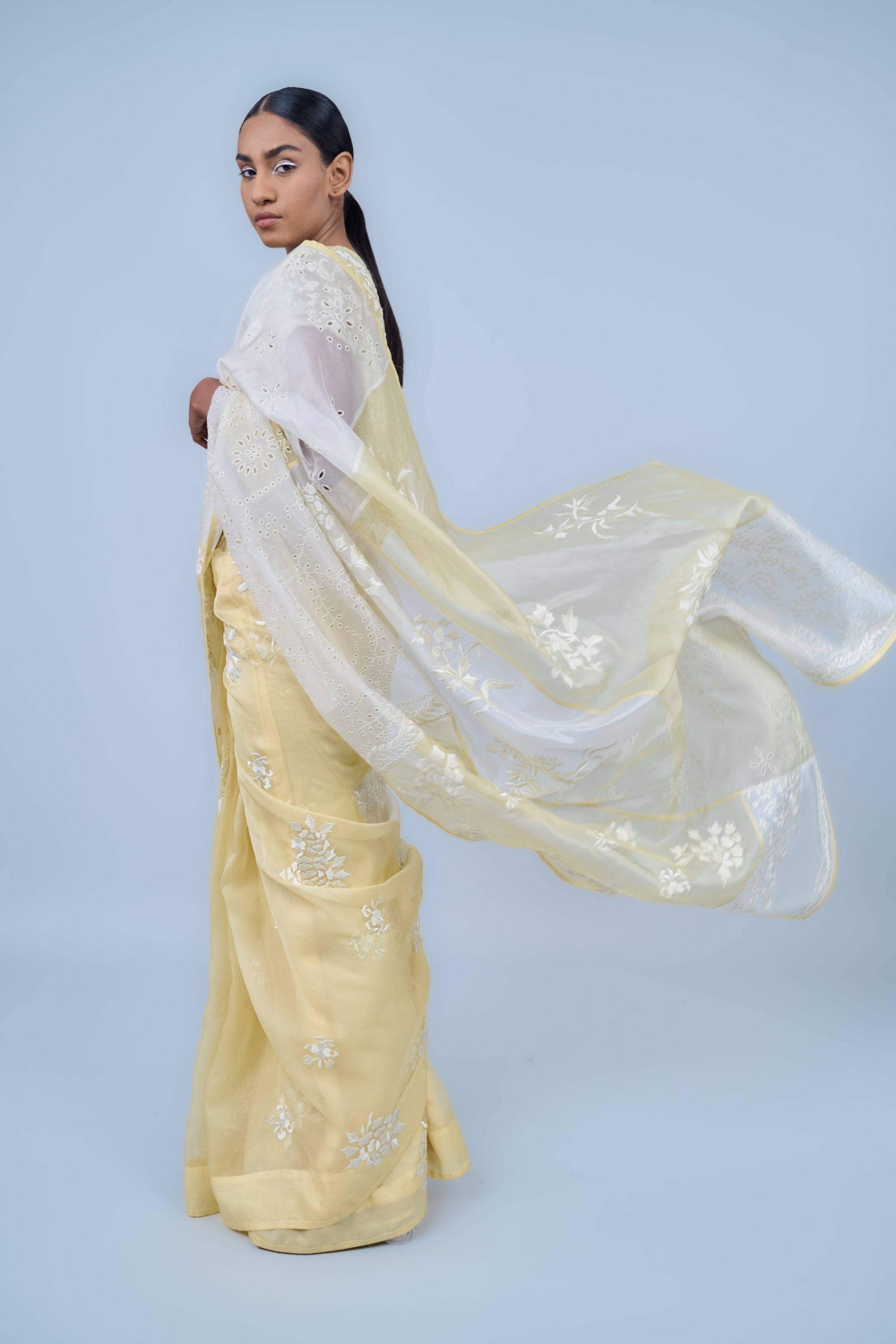 Sun Ec Silk Organza Sari