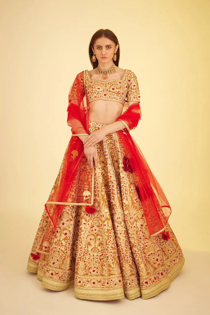 Rust Lehenga Set