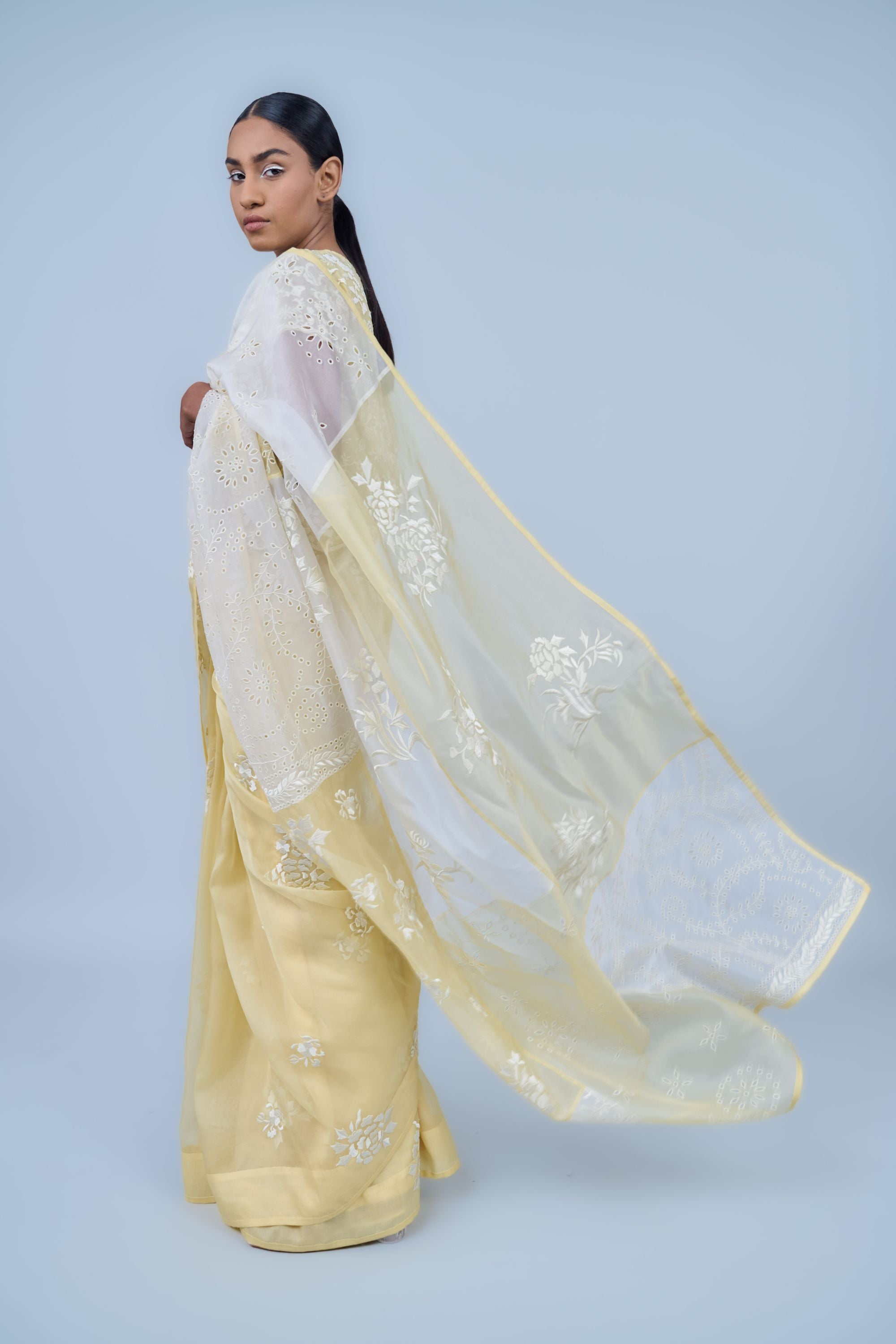 Sun Ec Silk Organza Sari