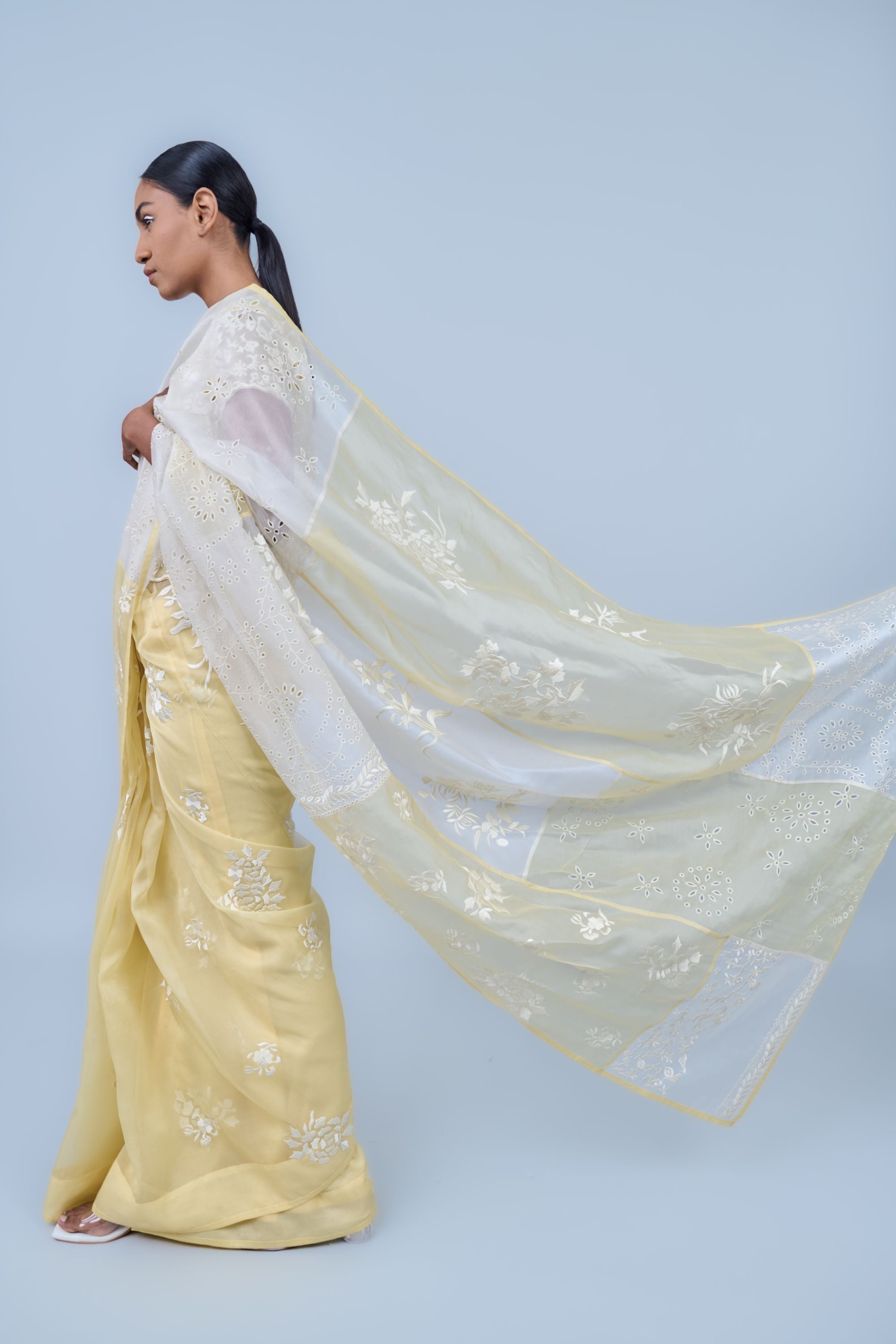 Sun Ec Silk Organza Sari