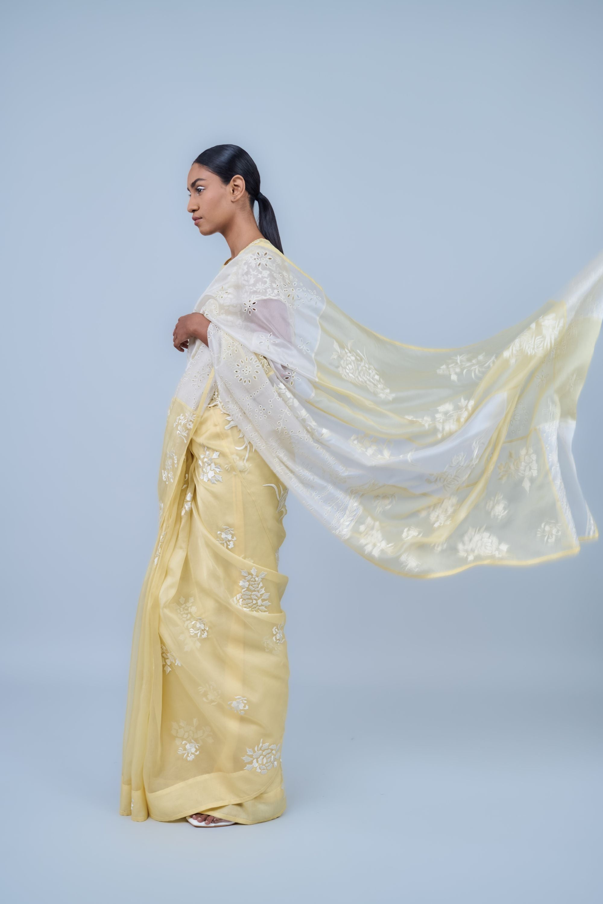 Sun Ec Silk Organza Sari
