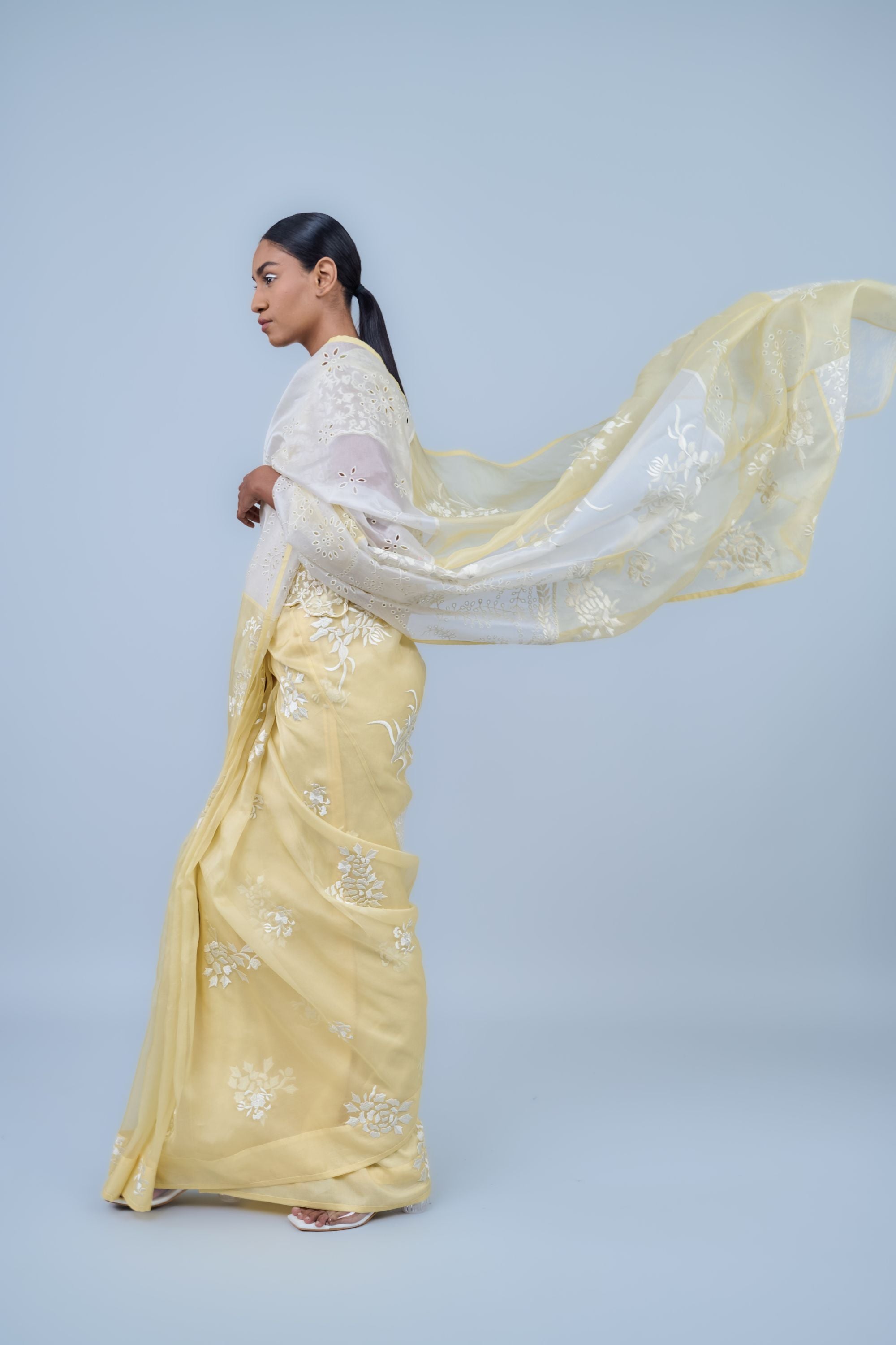 Sun Ec Silk Organza Sari