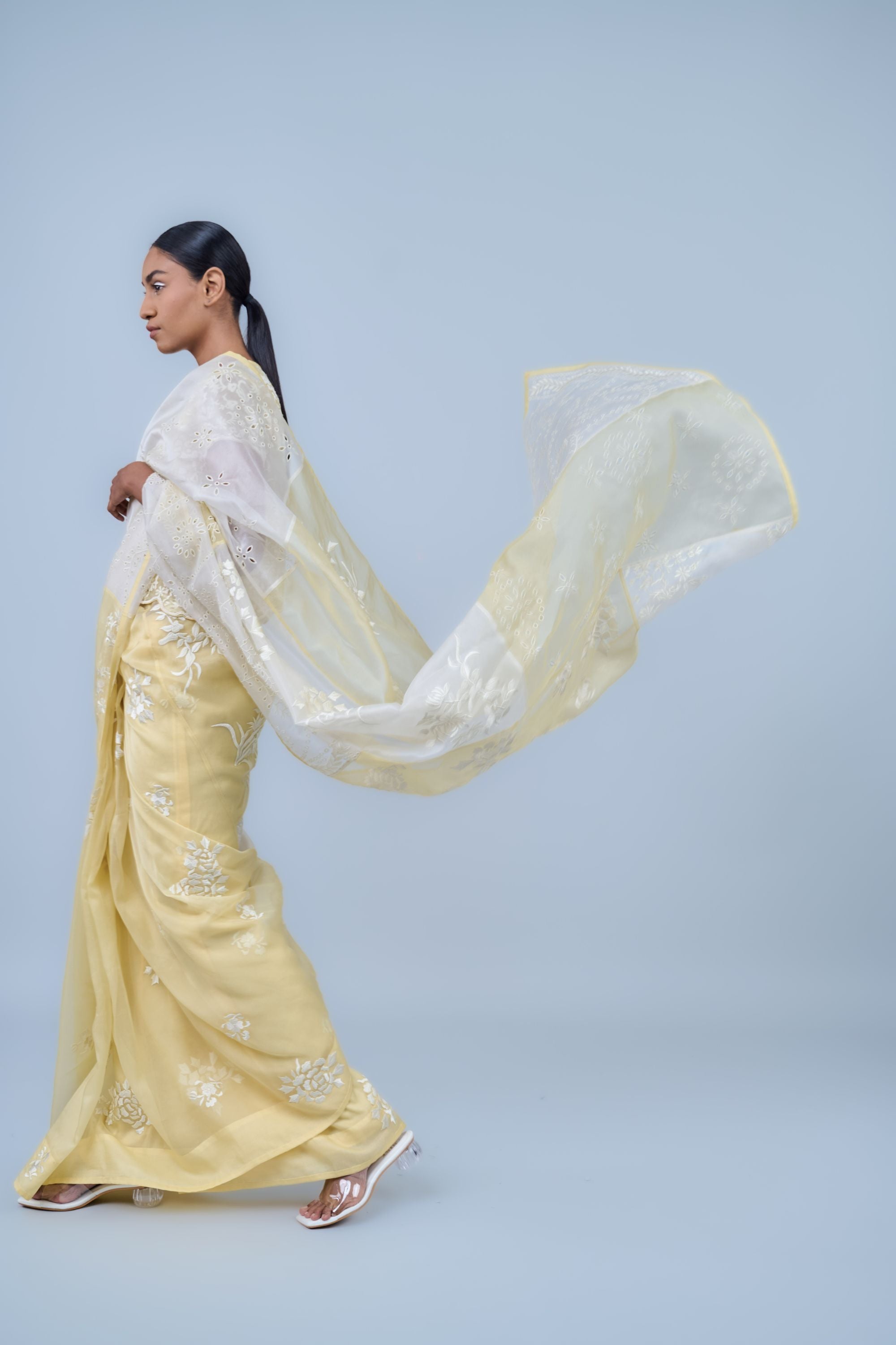 Sun Ec Silk Organza Sari