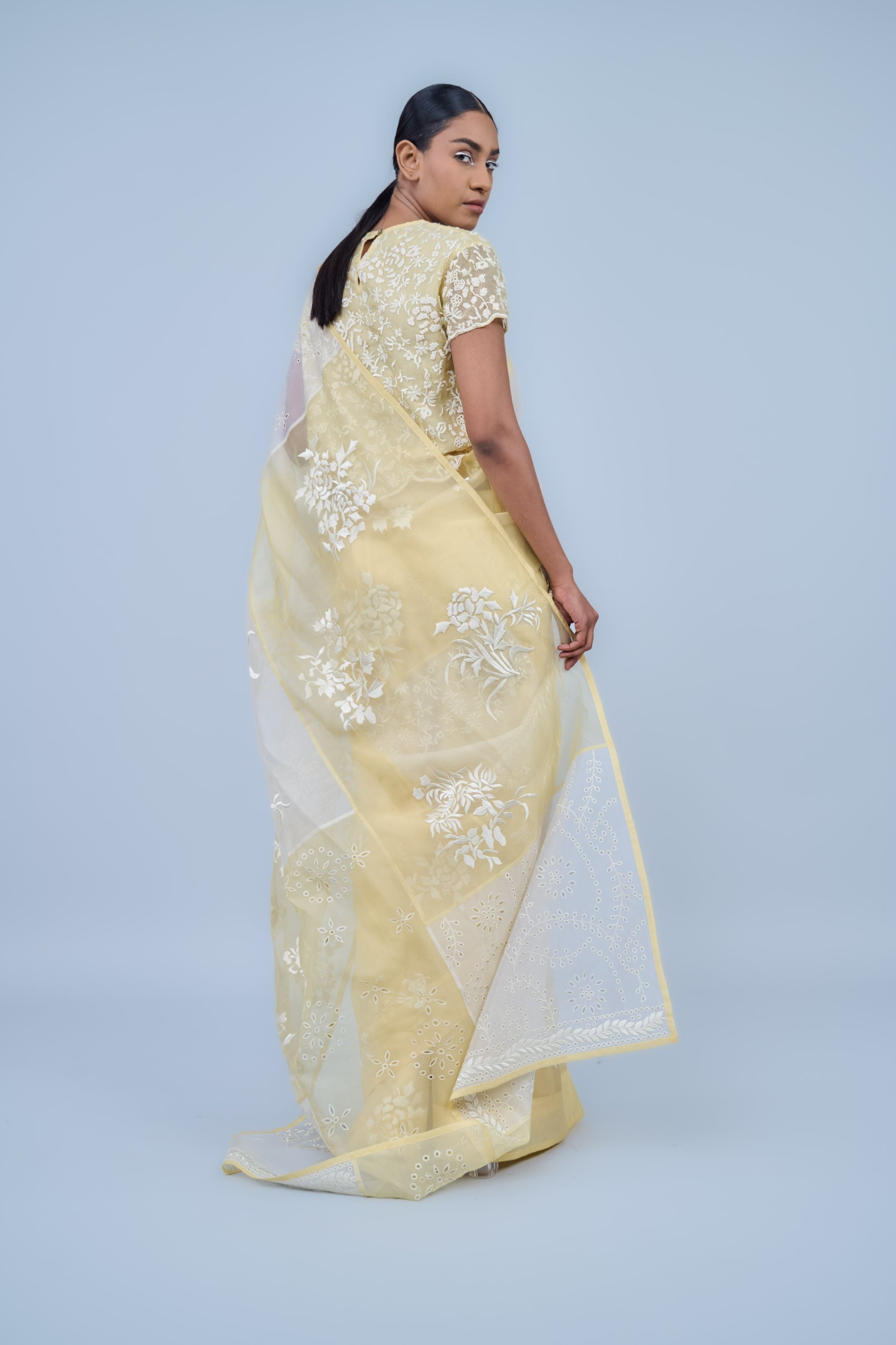 Sun Ec Silk Organza Sari