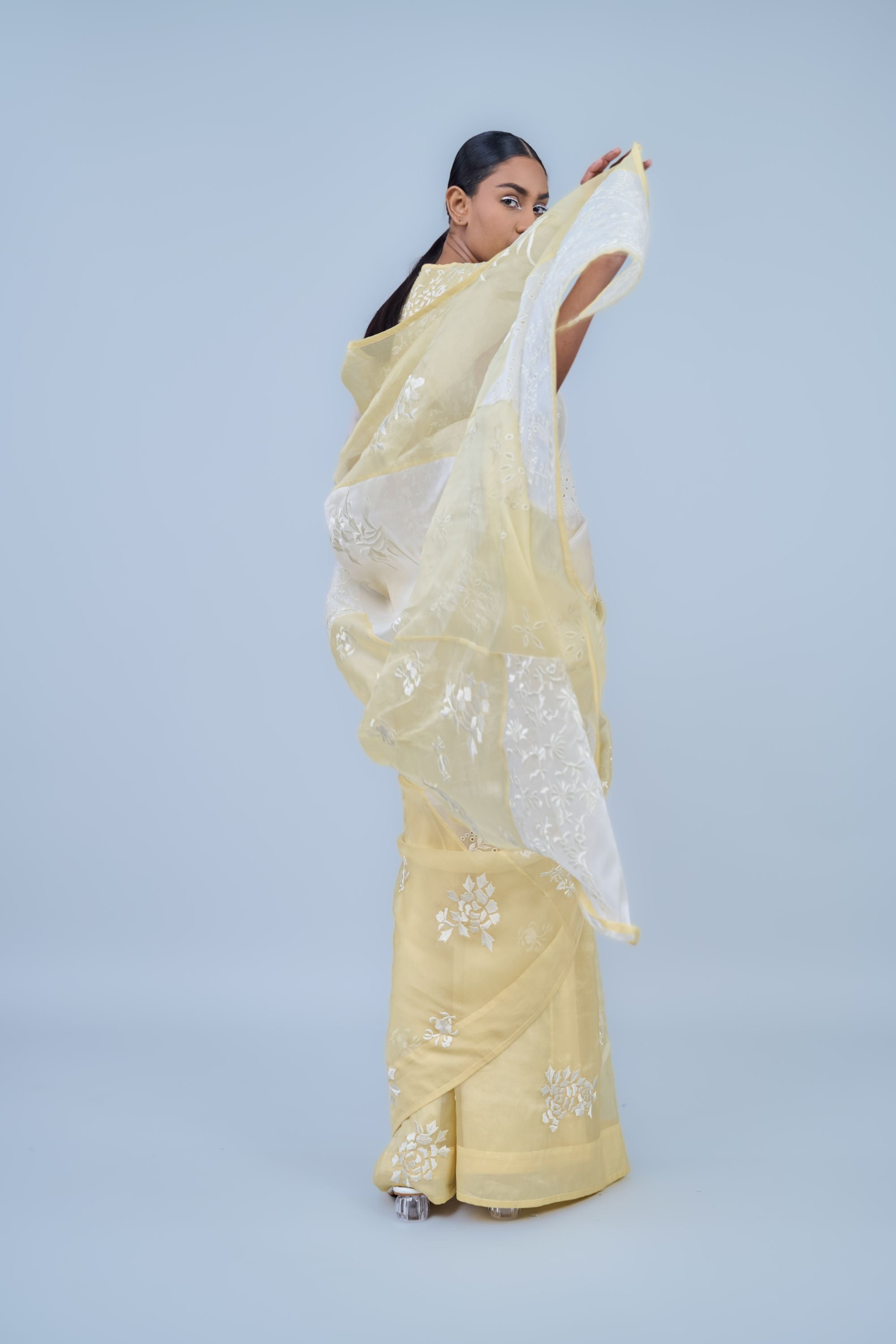 Sun Ec Silk Organza Sari