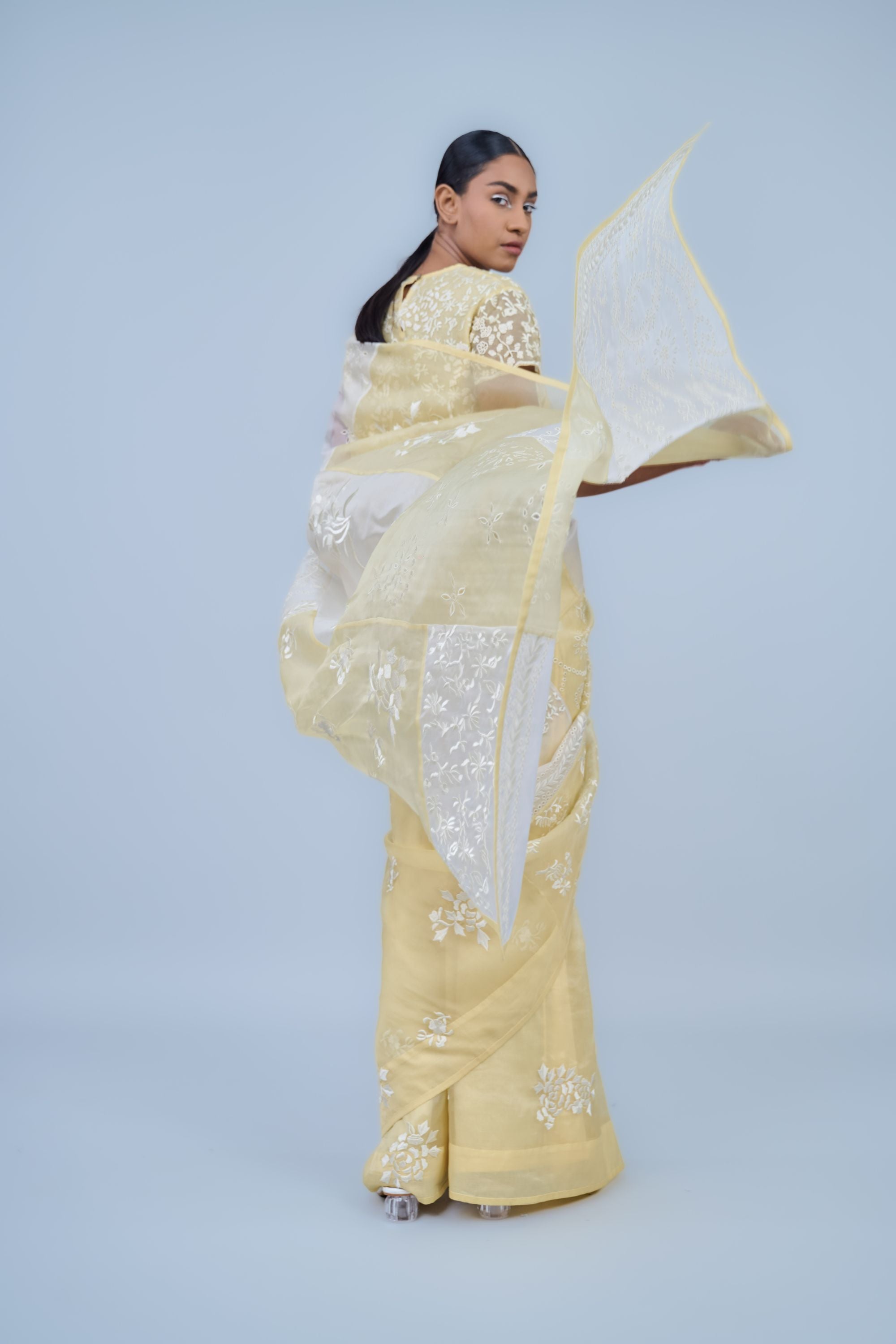 Sun Ec Silk Organza Sari