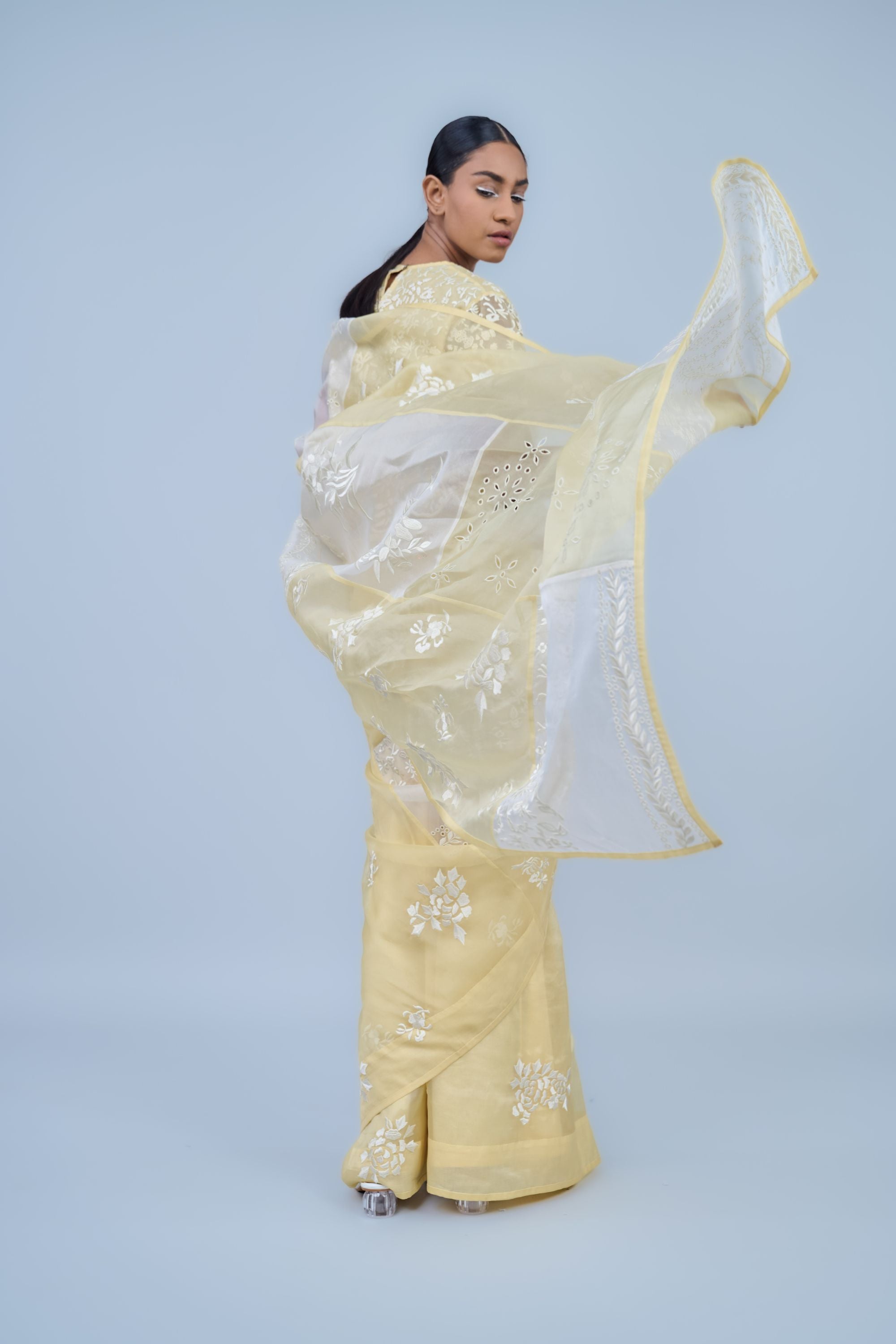 Sun Ec Silk Organza Sari