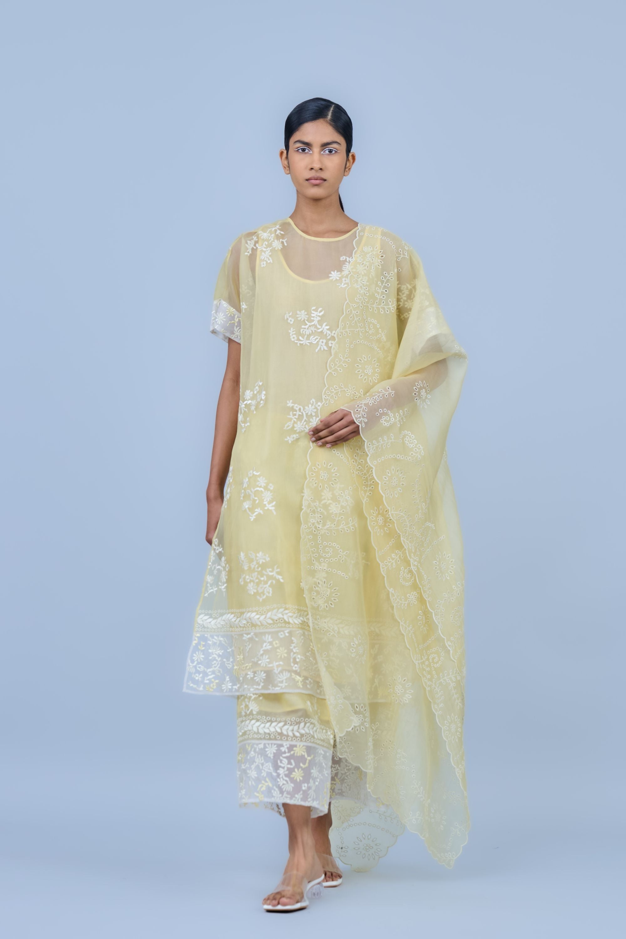 Sun Ec Silk Organza Kurta