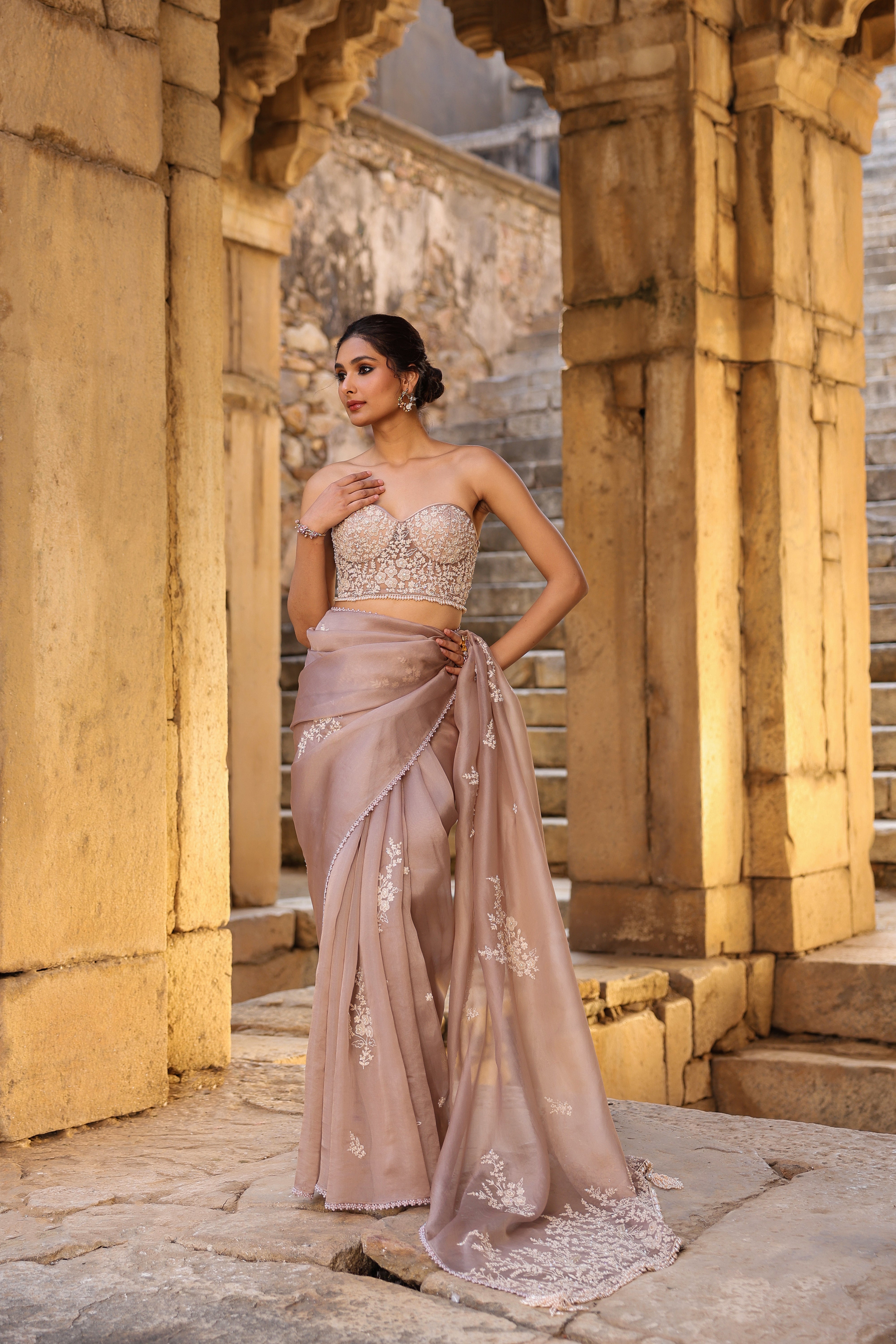 Vaayu Taupe Applique Corset Saree Set