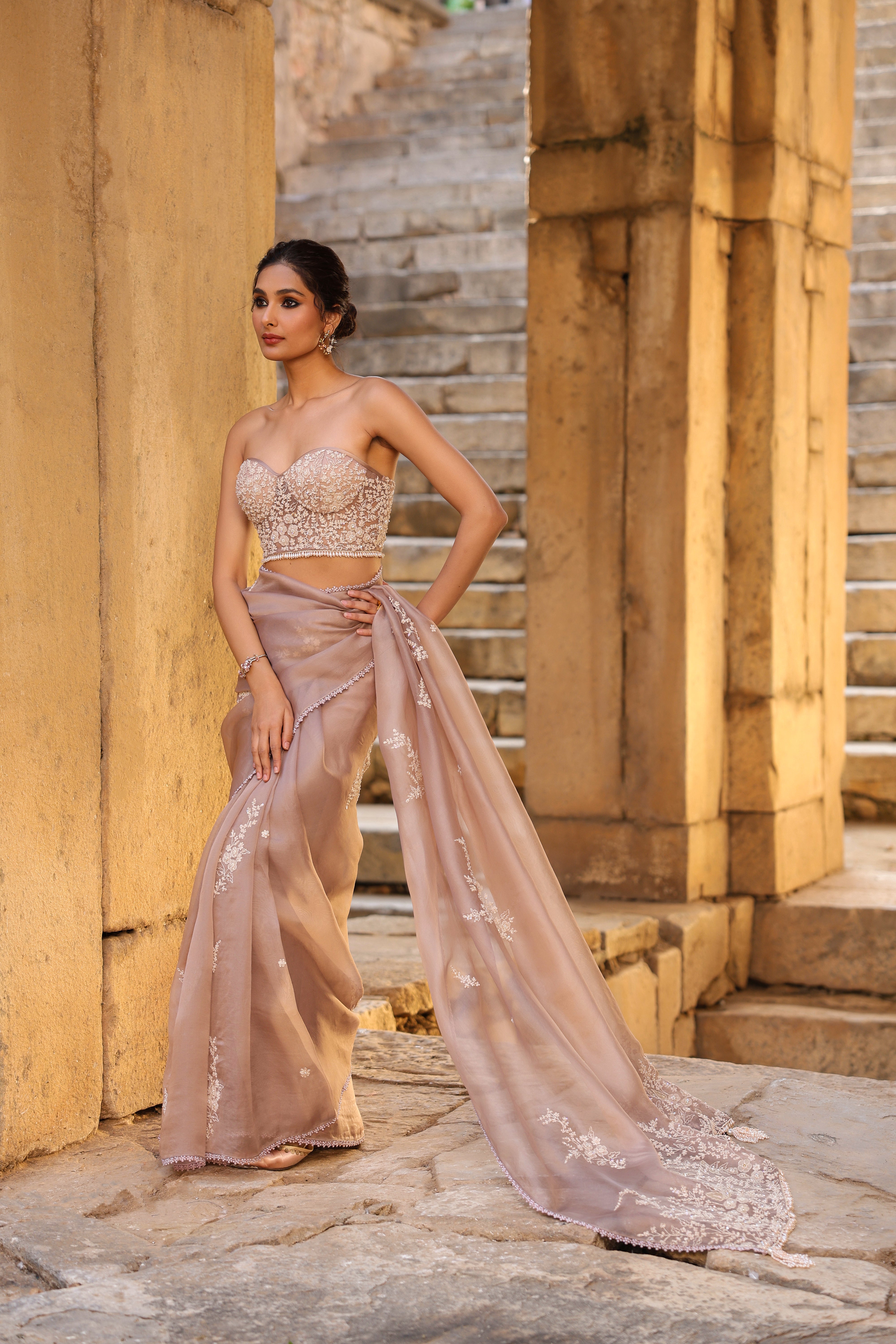 Vaayu Taupe Applique Corset Saree Set