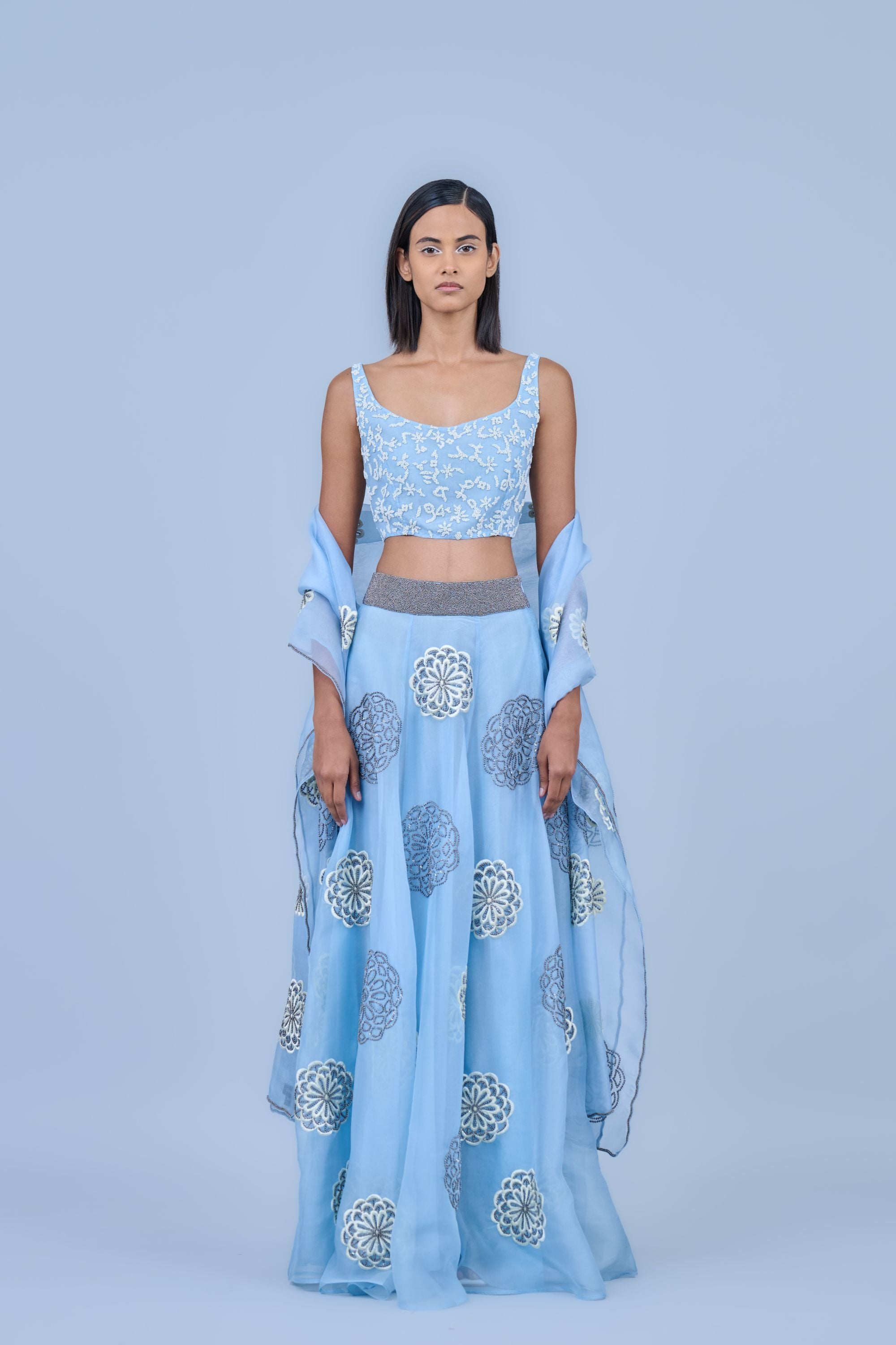 Ice Ec Slv Silk Organza Dupatta