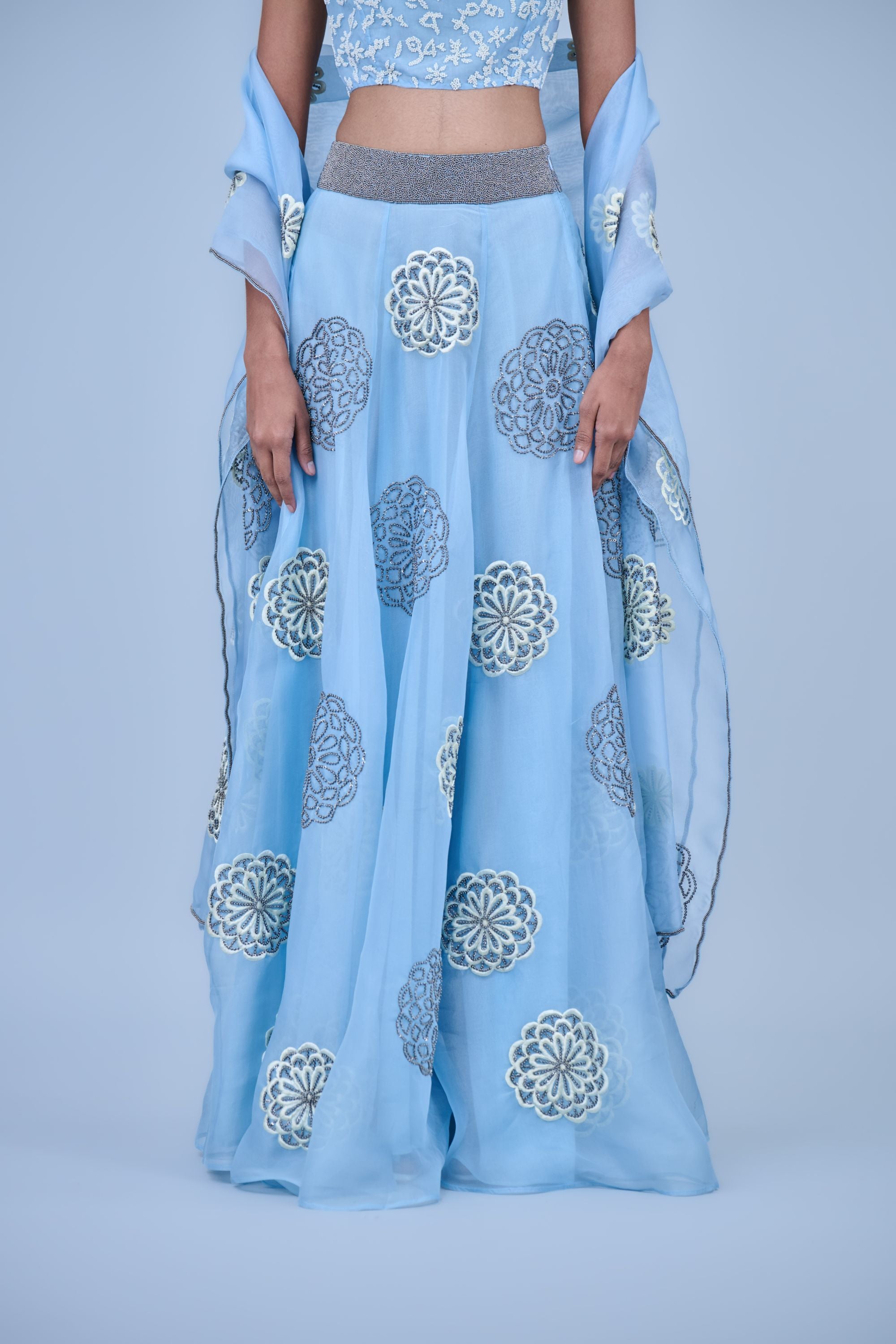 Ice Ec Slv Silk Organza Dupatta