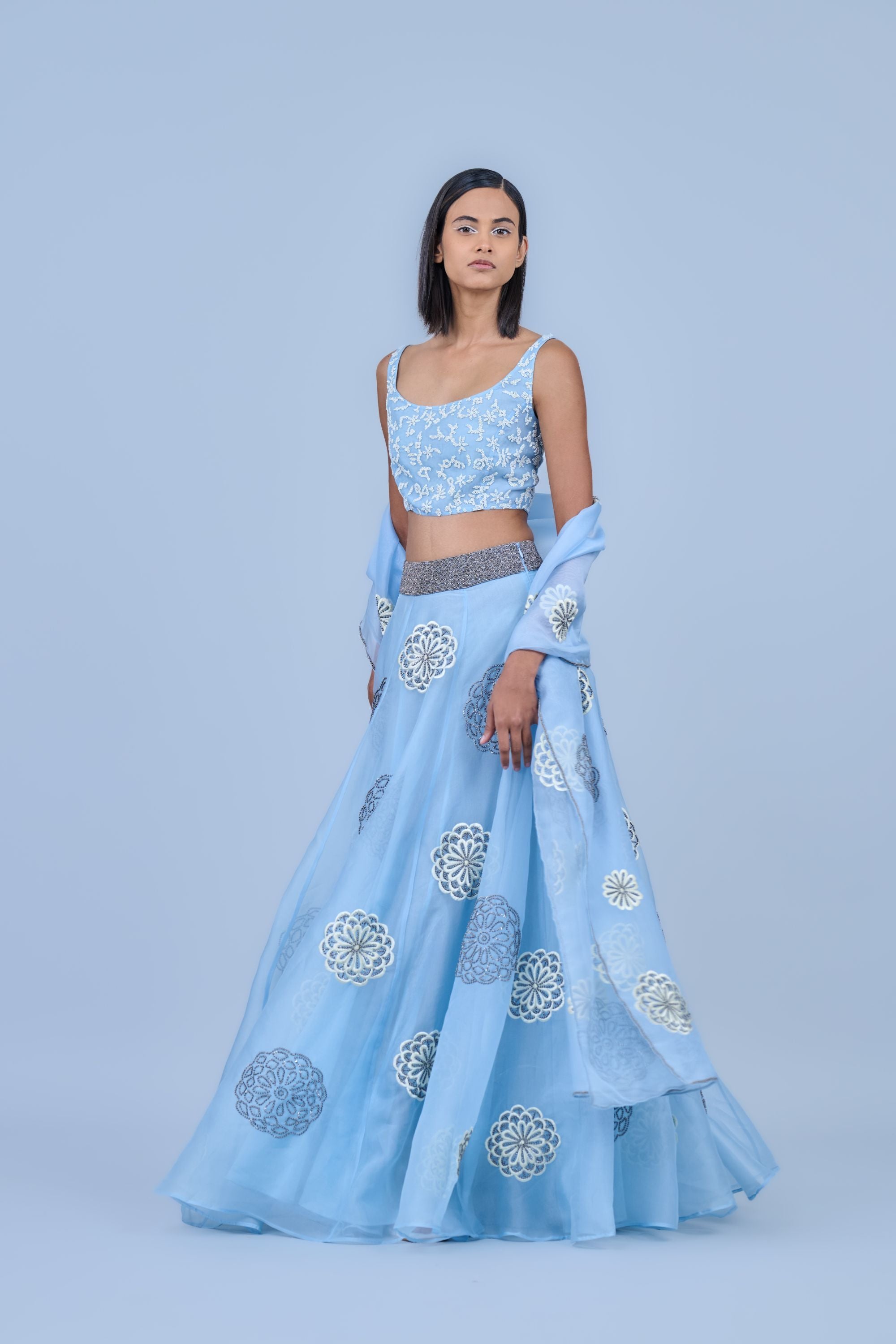 Ice Ec Slv Silk Organza Dupatta