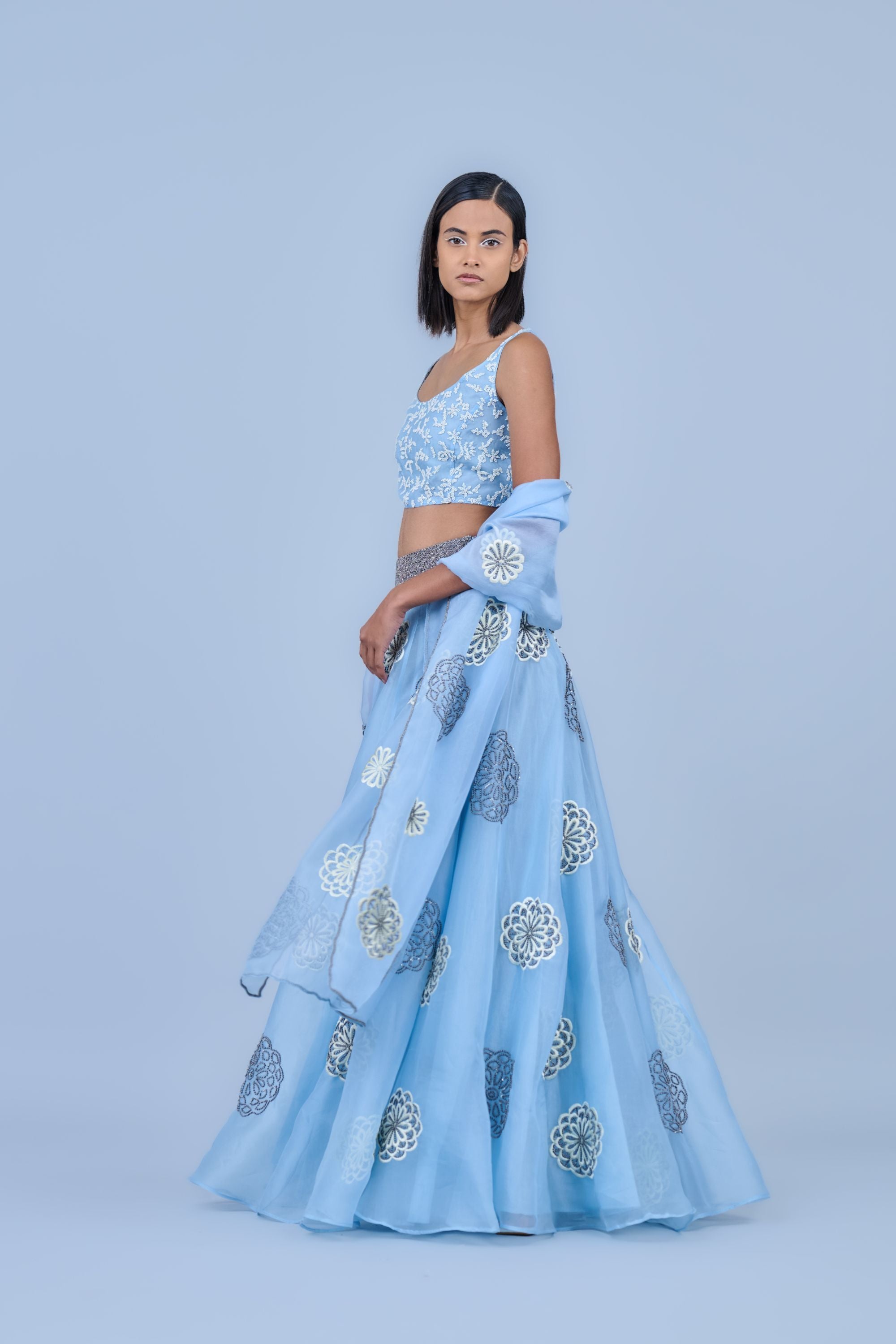 Ice Ec Slv Silk Organza Skirt