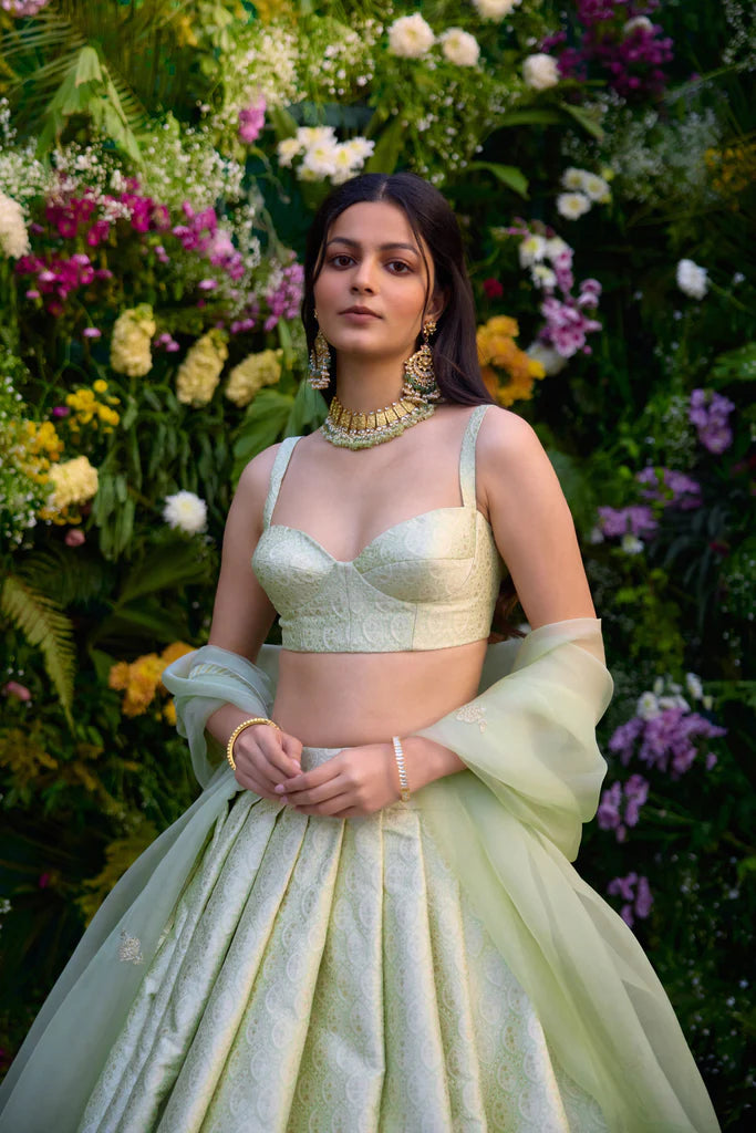 Meadow Mist Green Lehenga Set