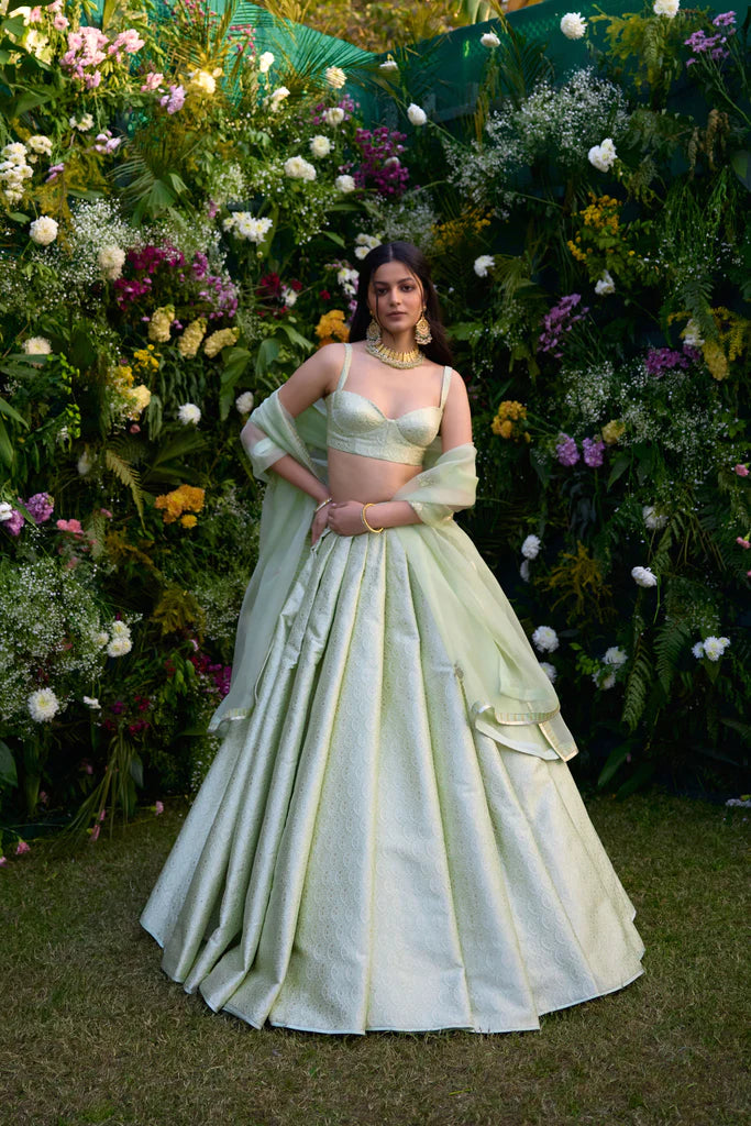 Meadow Mist Green Lehenga Set