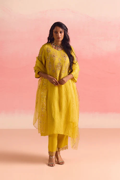 ONT 461 - SET - MANGO