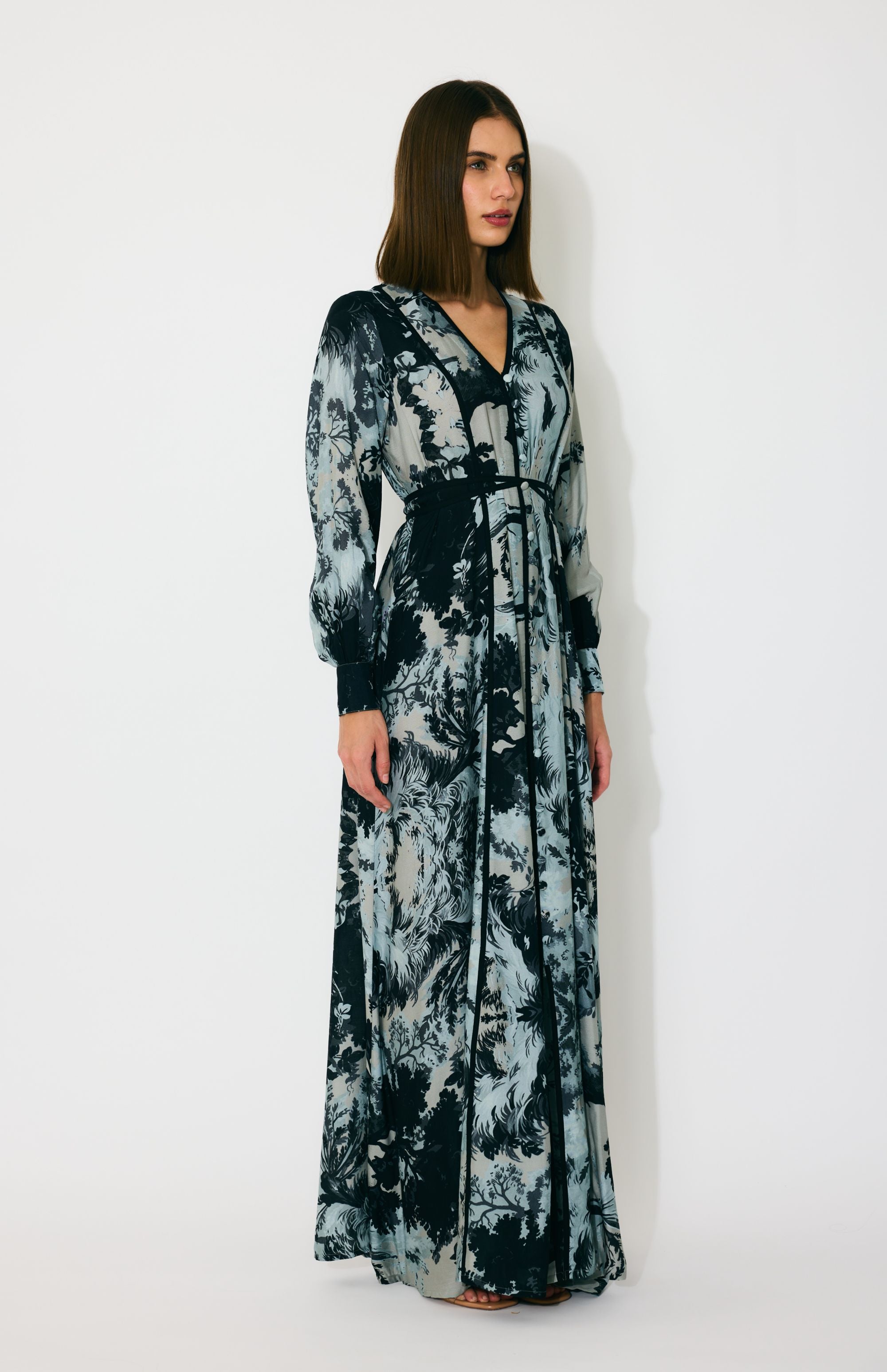 BLUE AND BLACK TOILE PRINT DRESS