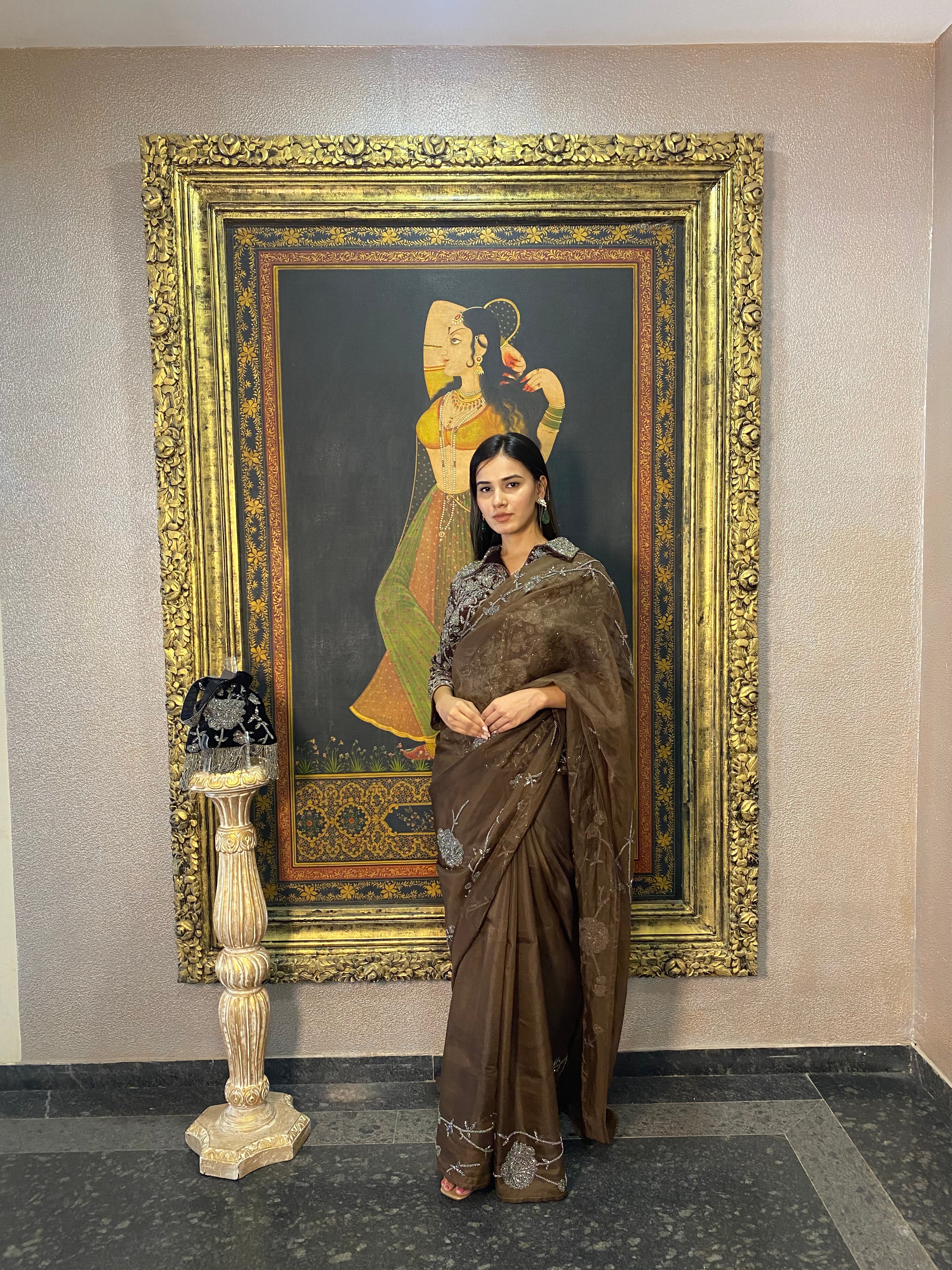BROWN SAREE