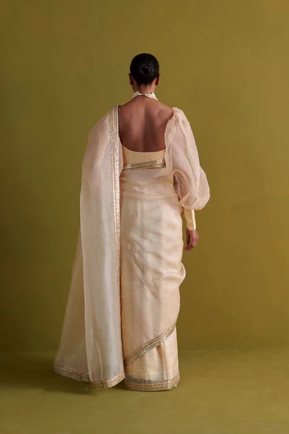 Gulbaug beige sari with blouse