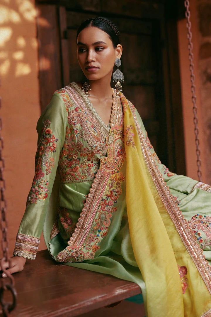 Pista Green Heavy Kalidar With Ombre Dupatta